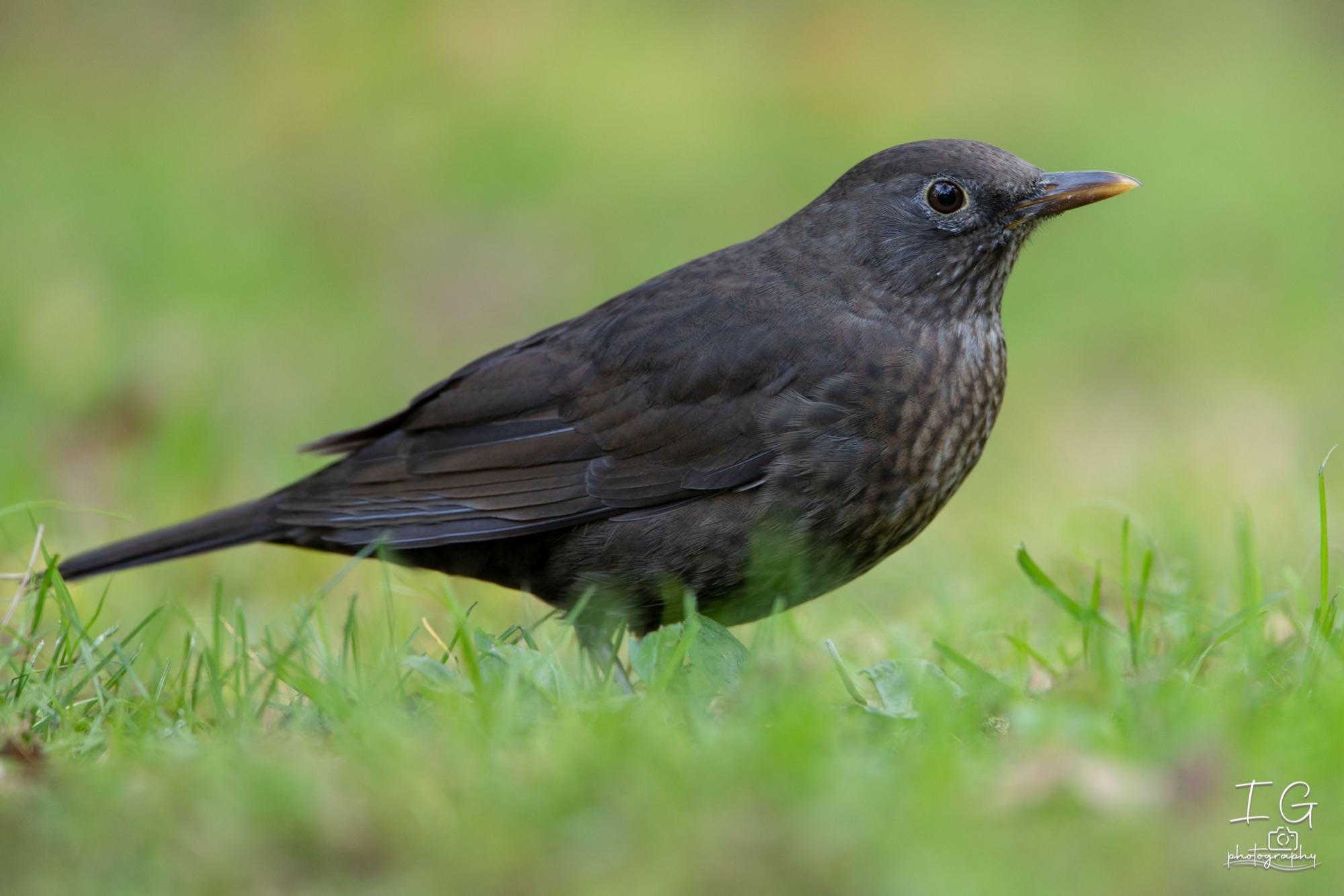  5D48225 210926 12 10 35