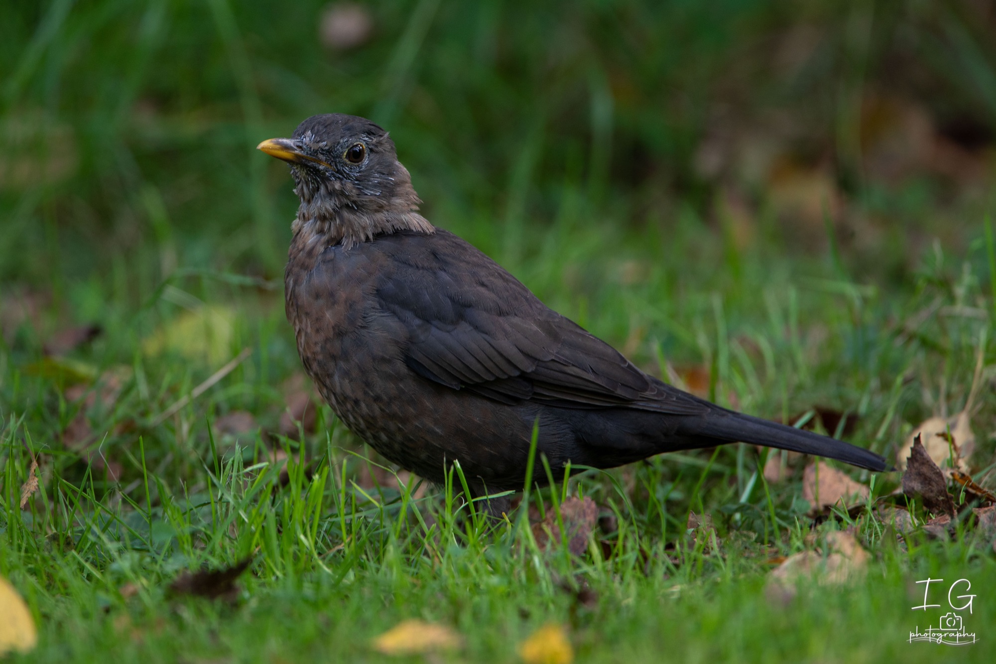  5D48236 210926 12 13 28