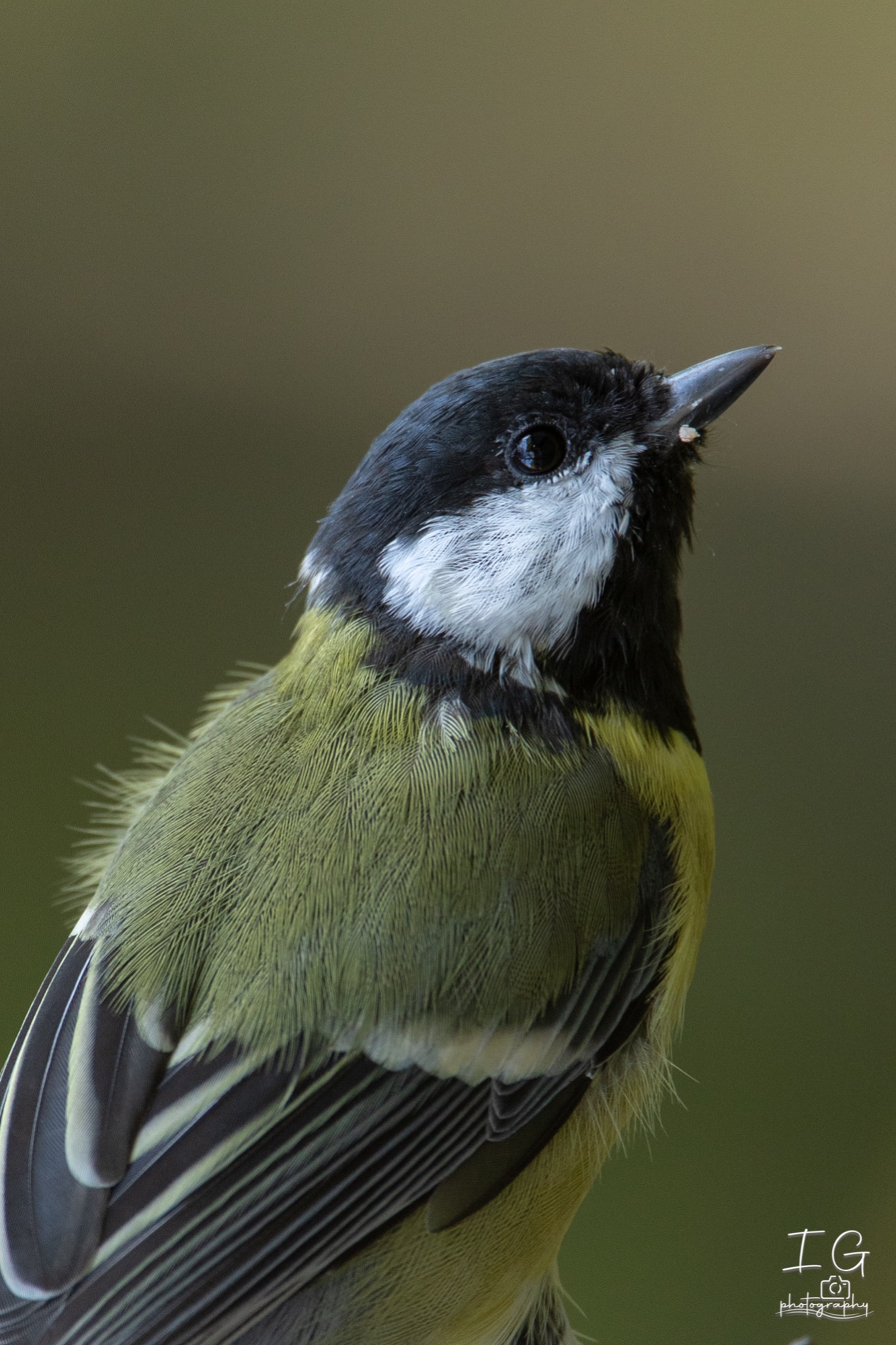  5D48211 210926 12 06 06