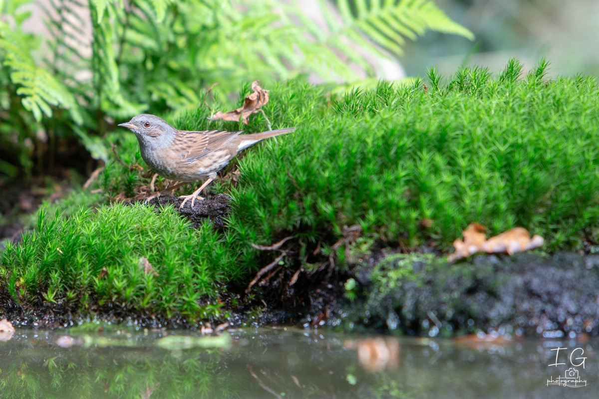  1DX9483 210927 13 11 18