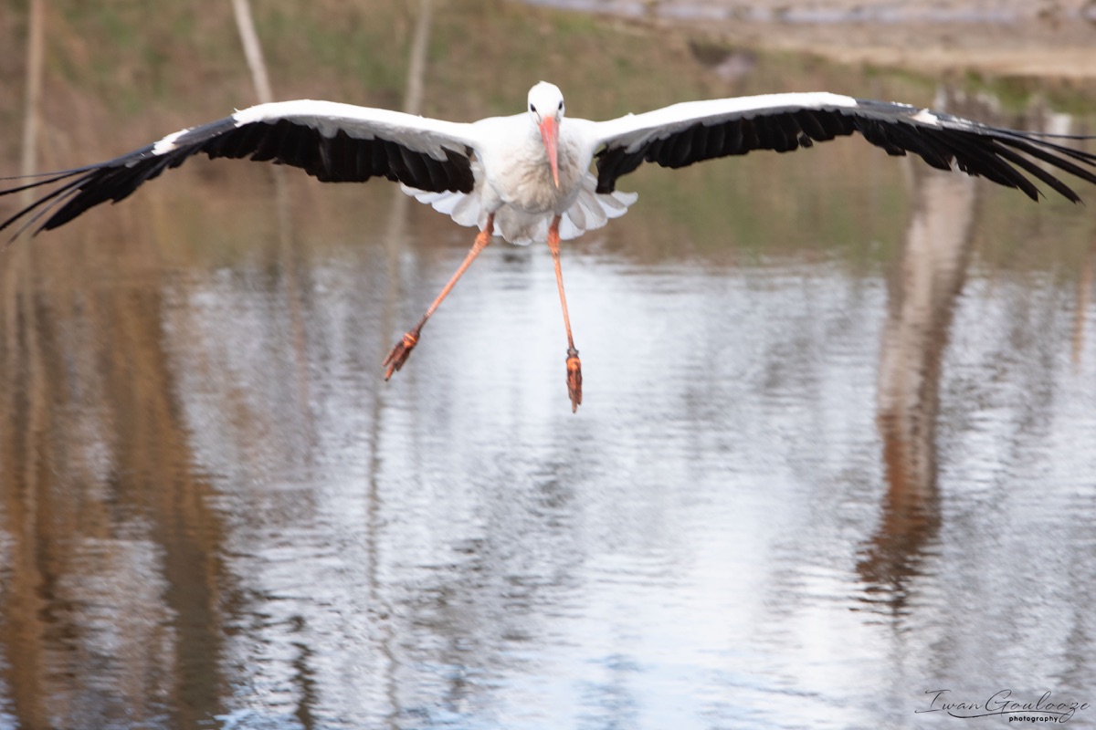 2Y6A7370 210306 11 09 37