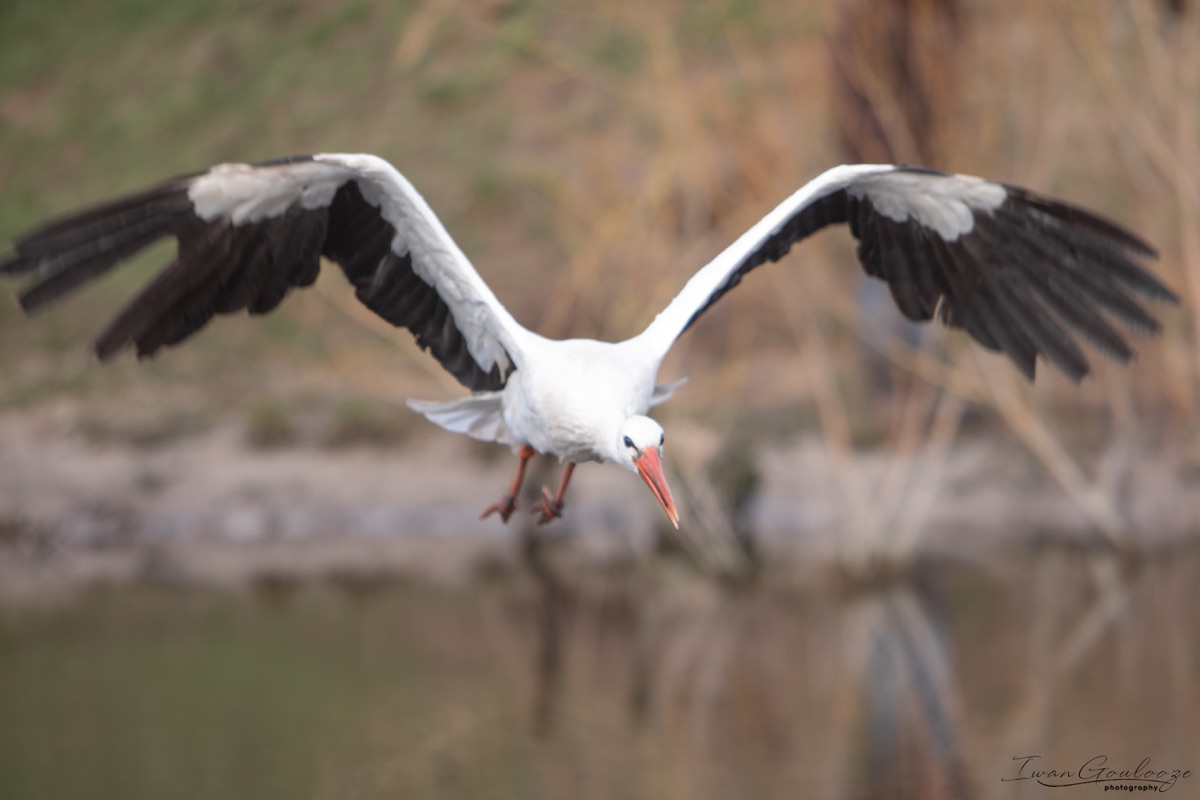 2Y6A7441 210306 11 16 26