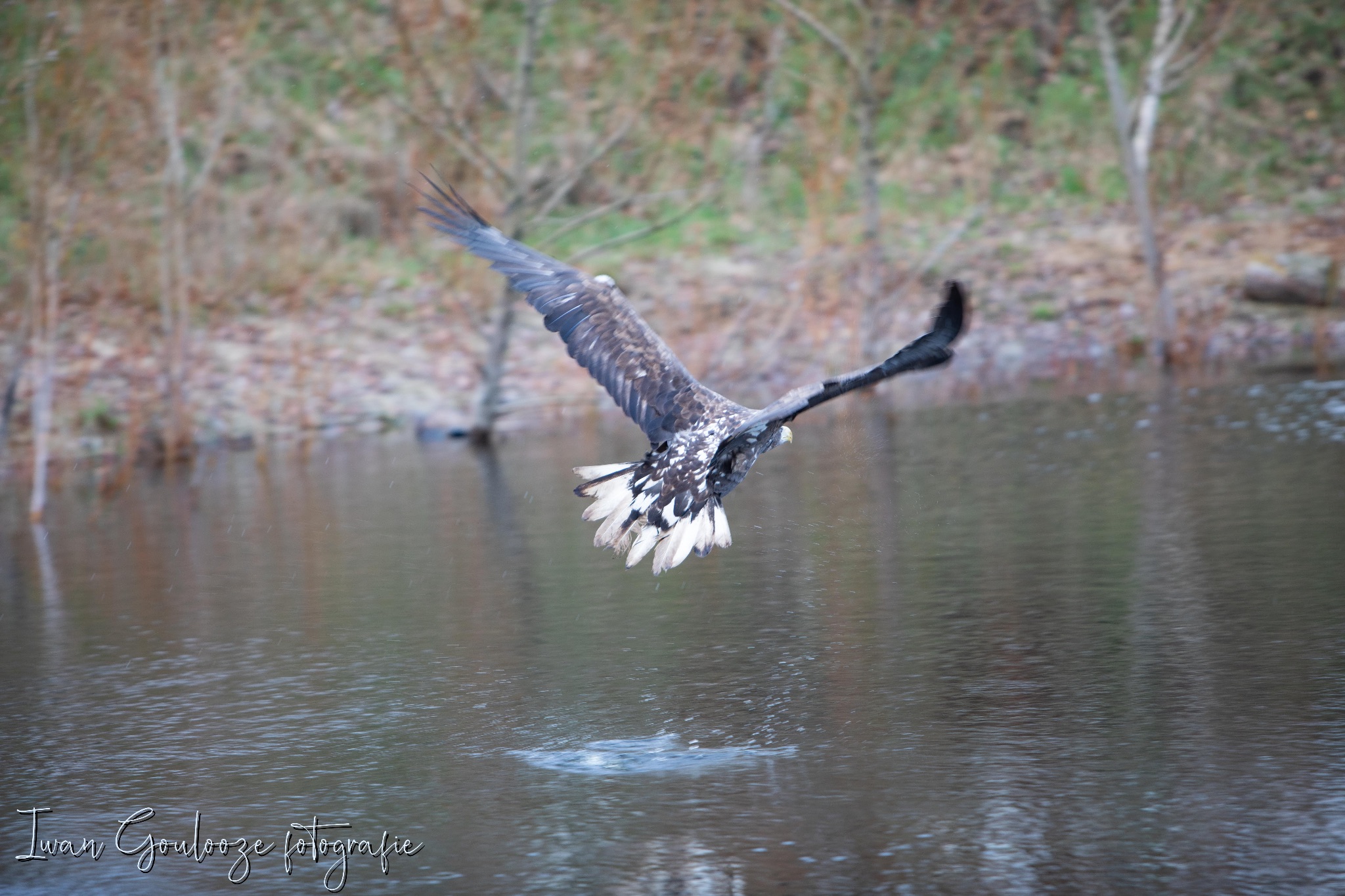 2Y6A2224 201204 12 35 51