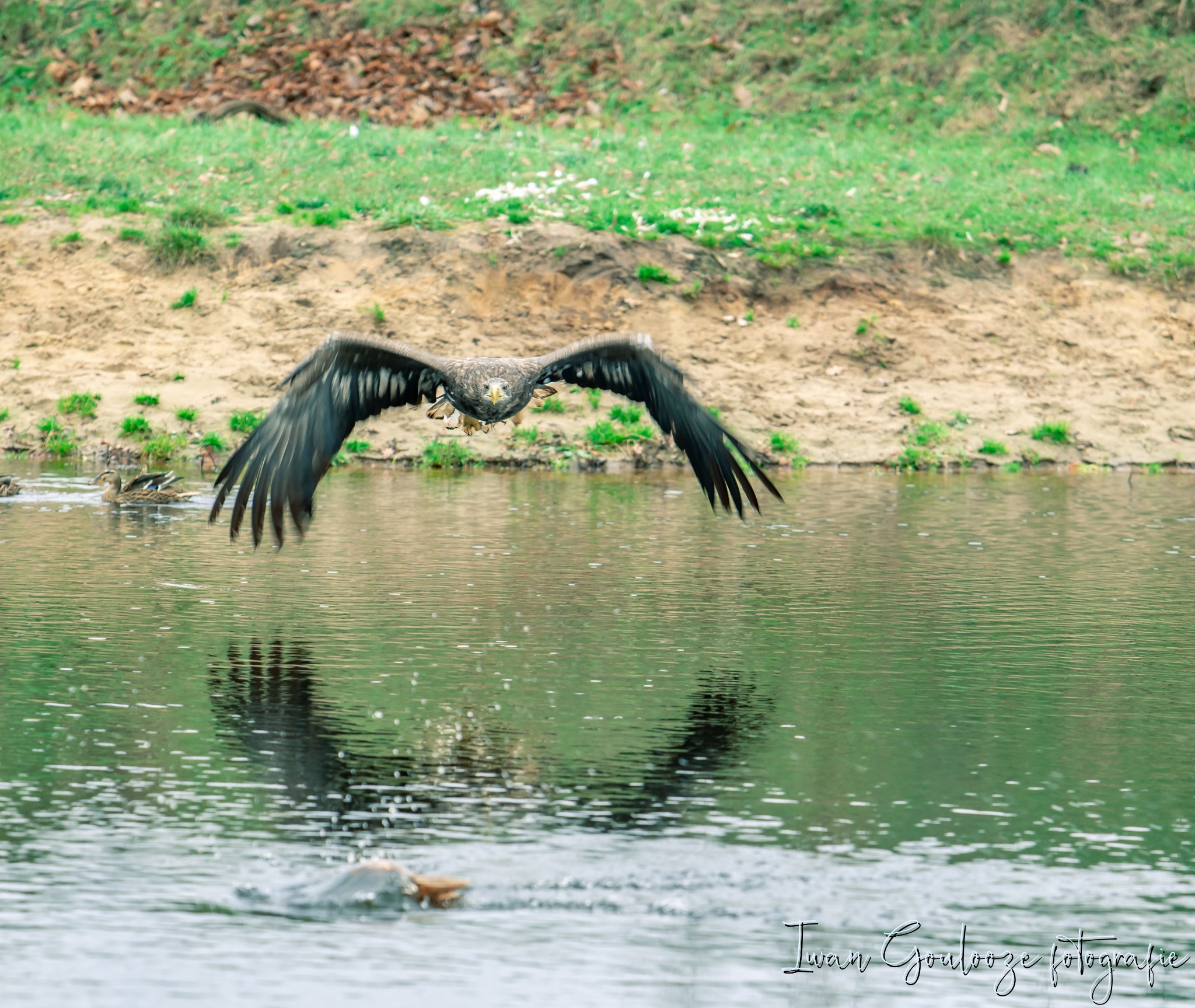 2Y6A2309 201204 12 45 27