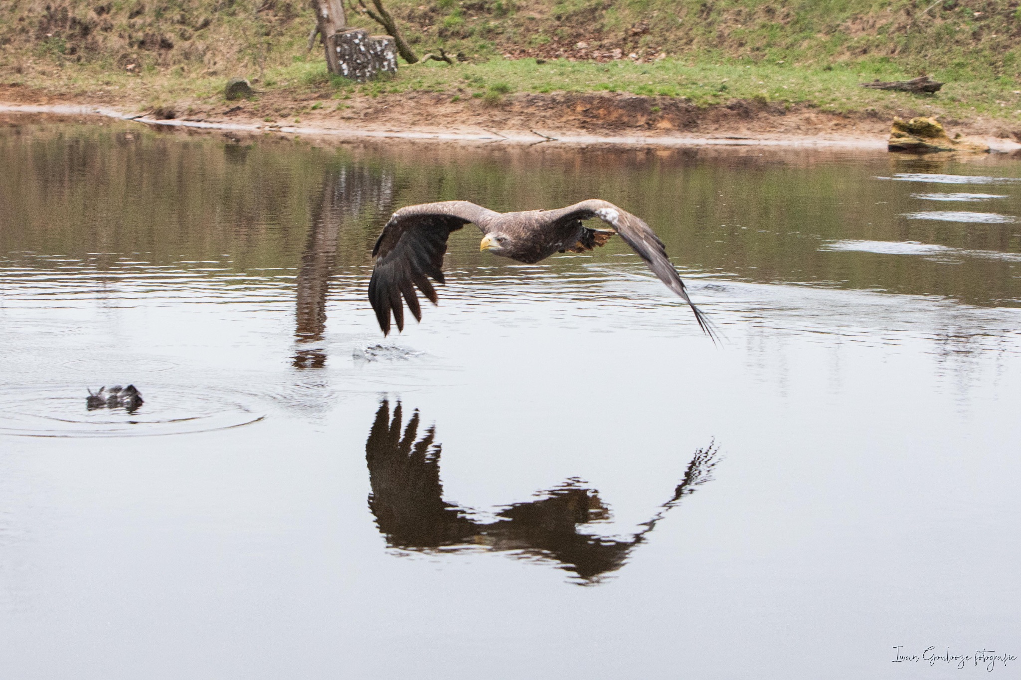 2Y6A4059 210116 12 18 04