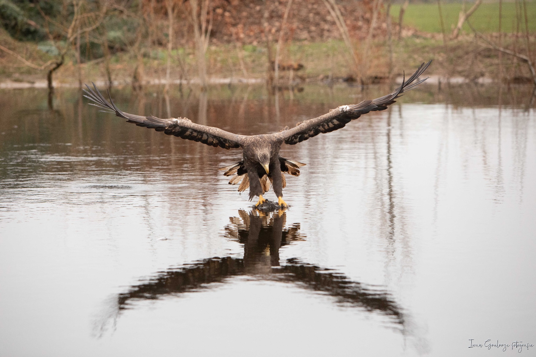 2Y6A4078 210116 12 19 46