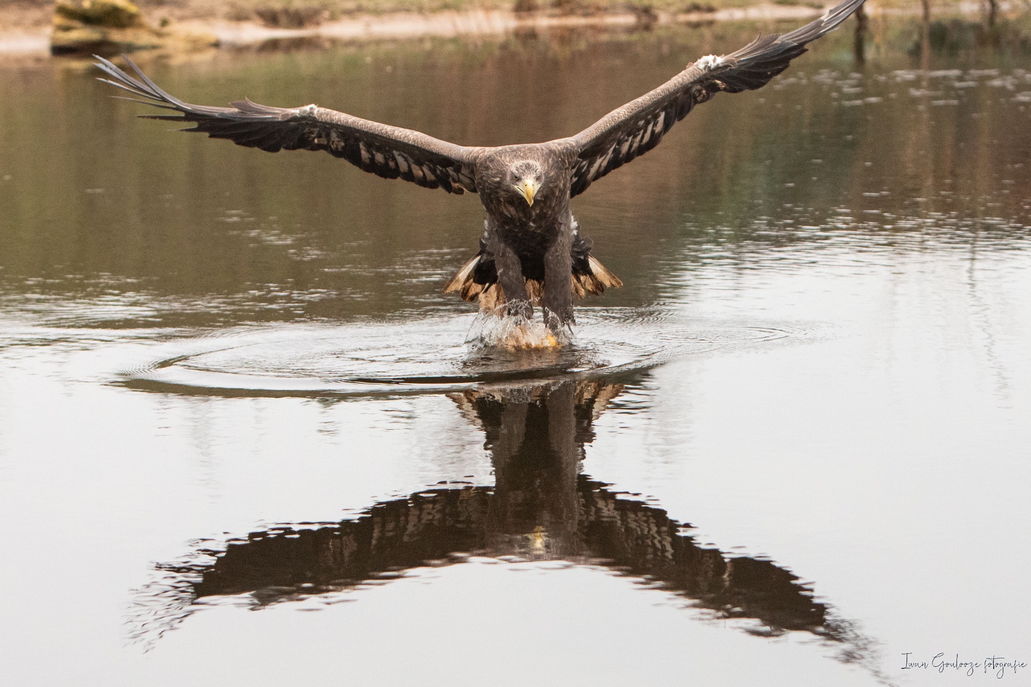 2Y6A4103 210116 12 23 34