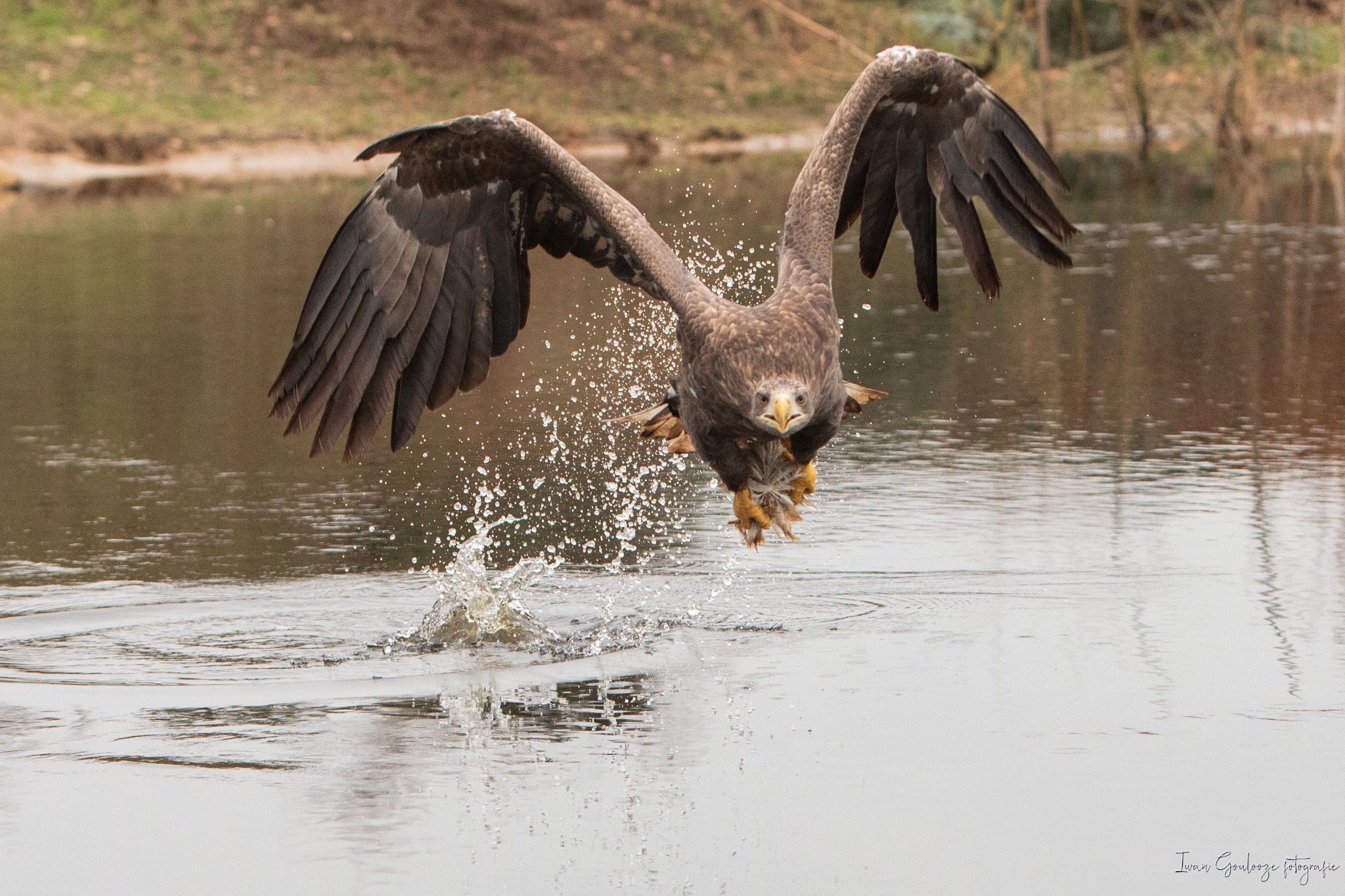 2Y6A4105 210116 12 23 34