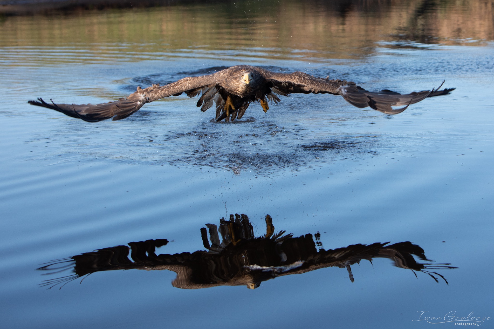 2Y6A6042 210227 15 41 45