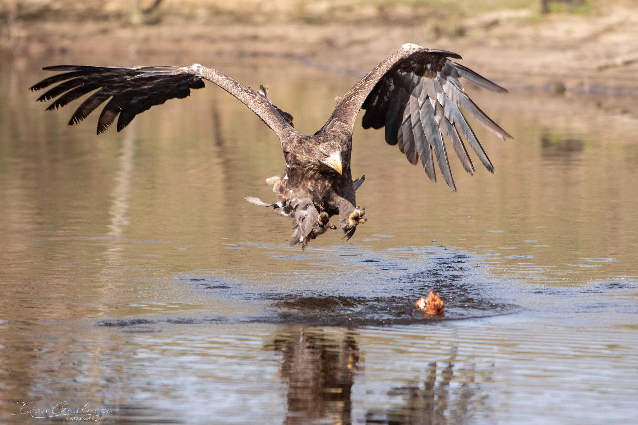 2Y6A7555 210306 11 39 05