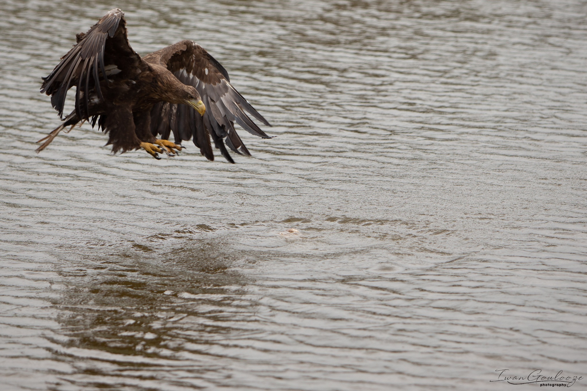  1DX2461 210410 15 36 00