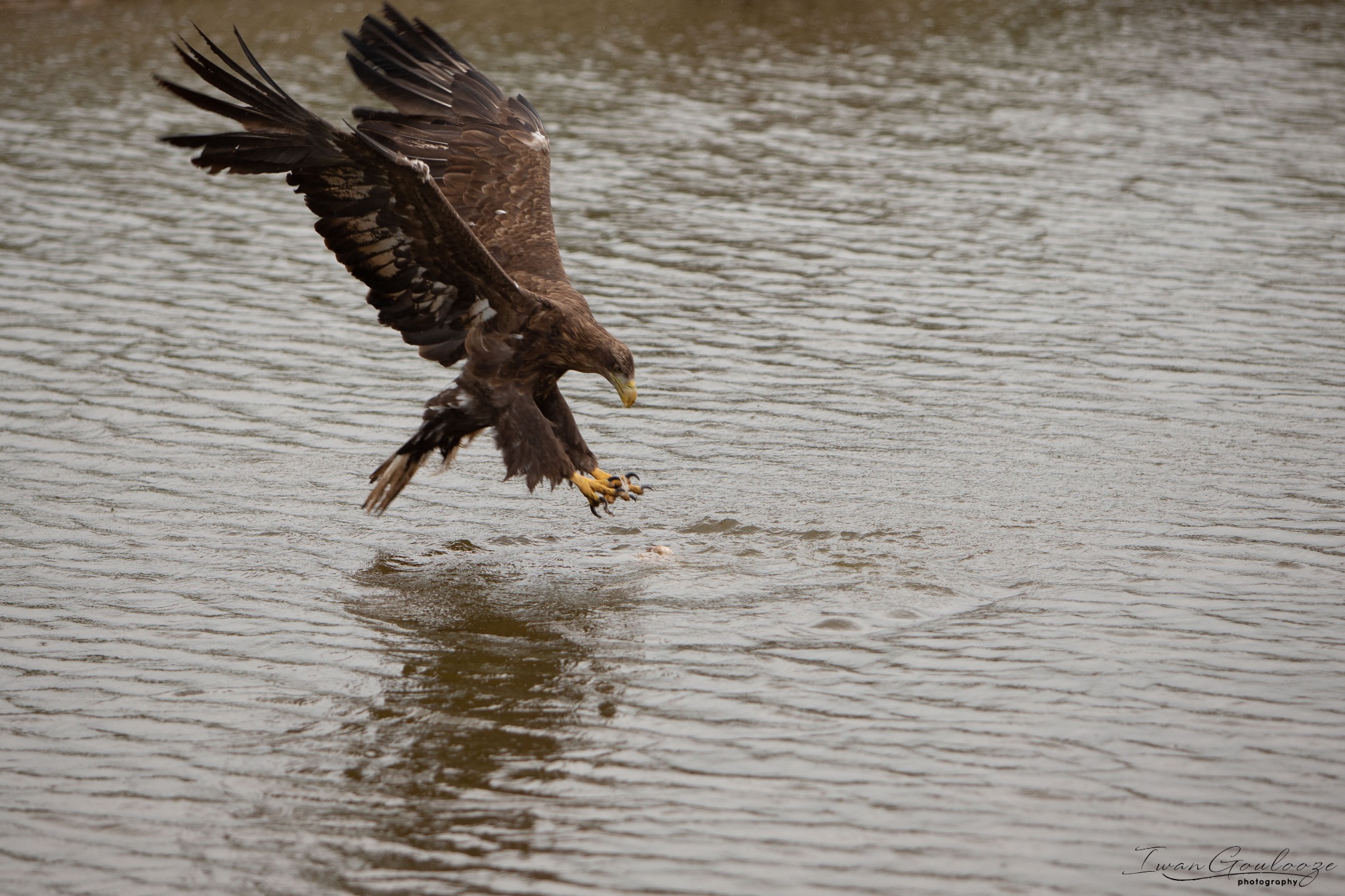  1DX2462 210410 15 36 00