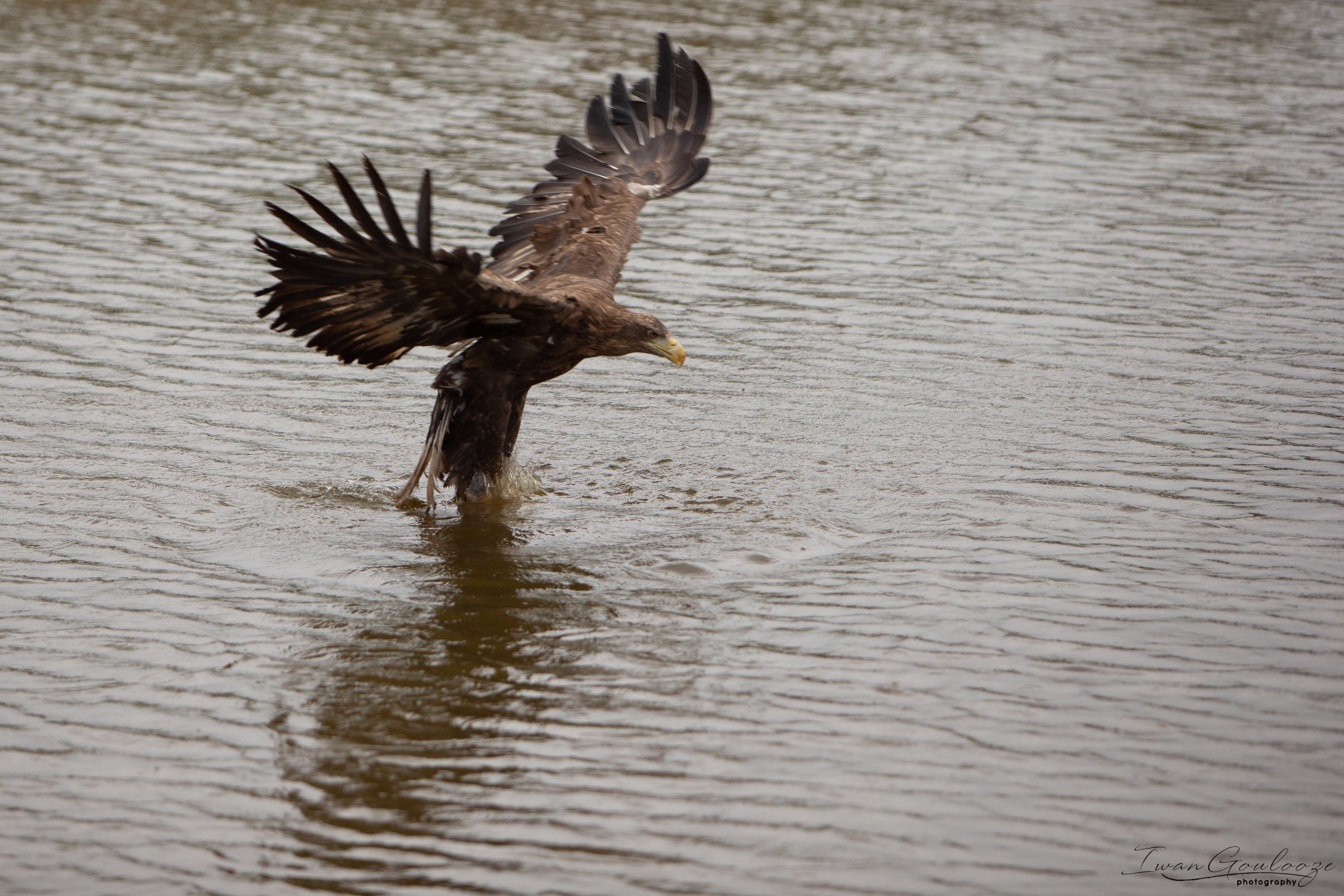  1DX2463 210410 15 36 00