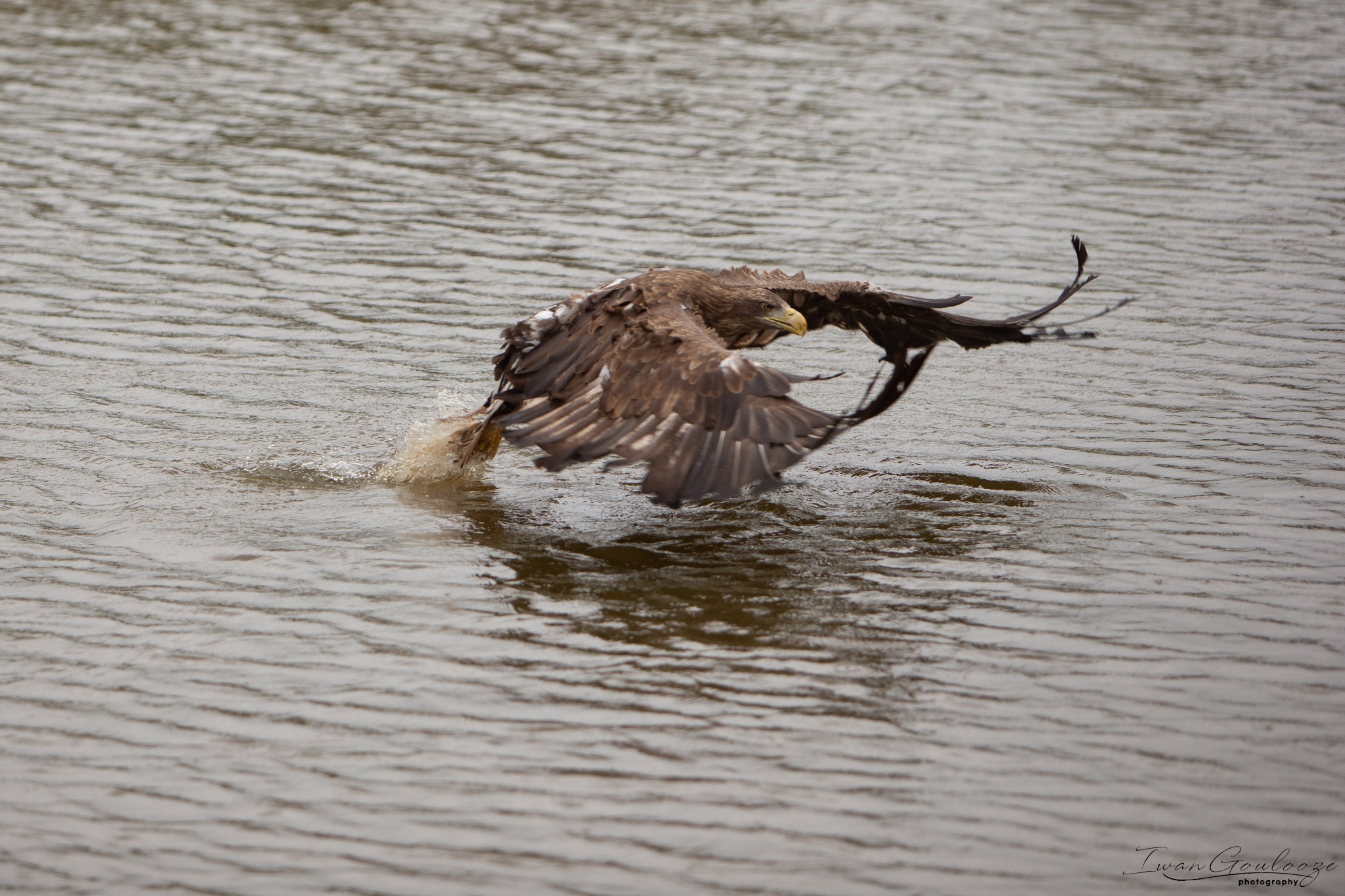  1DX2464 210410 15 36 00