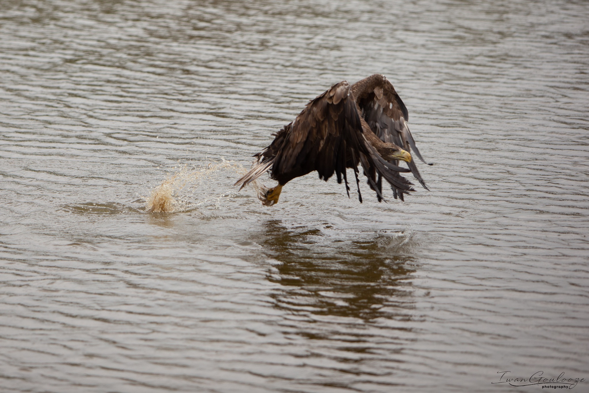  1DX2465 210410 15 36 00