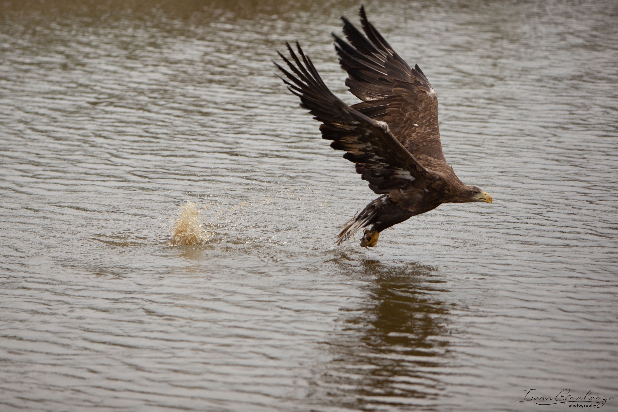  1DX2466 210410 15 36 00