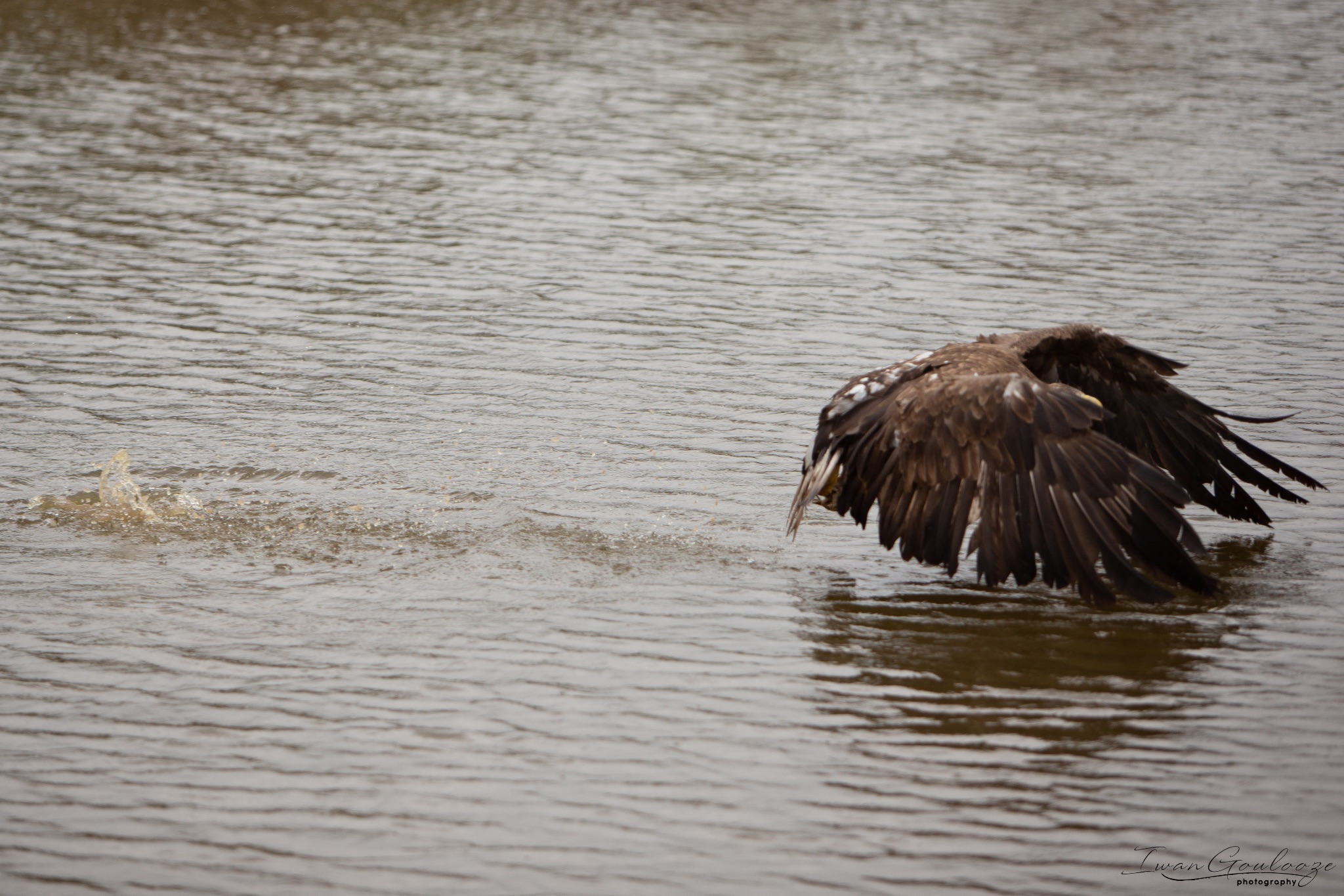  1DX2468 210410 15 36 01