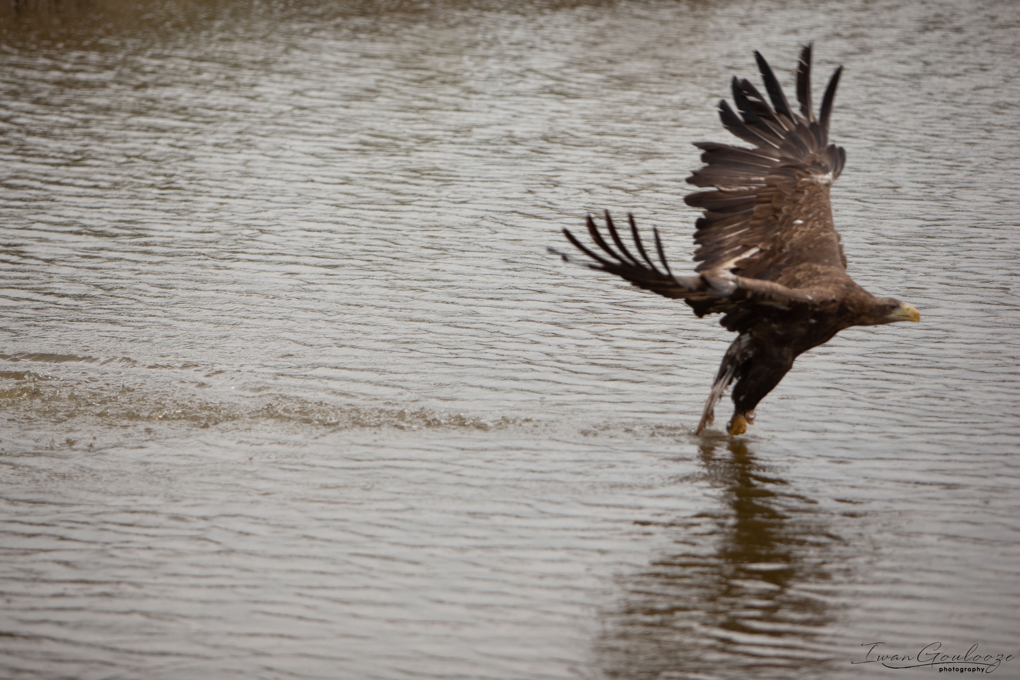  1DX2470 210410 15 36 01