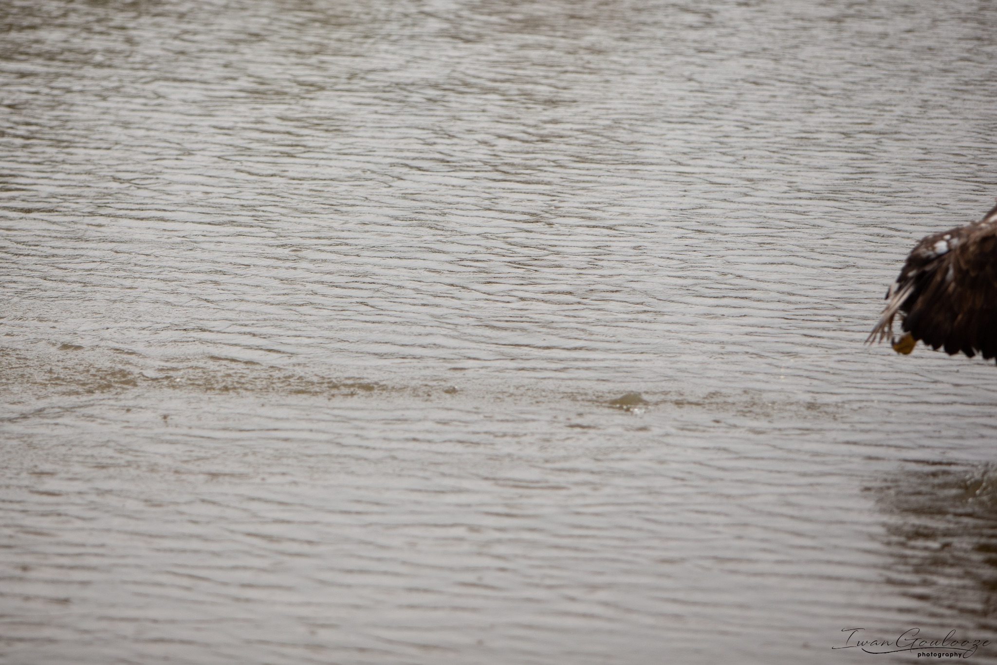  1DX2472 210410 15 36 01