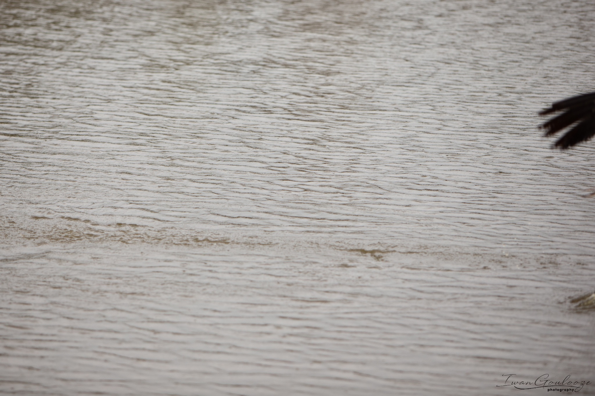  1DX2473 210410 15 36 01