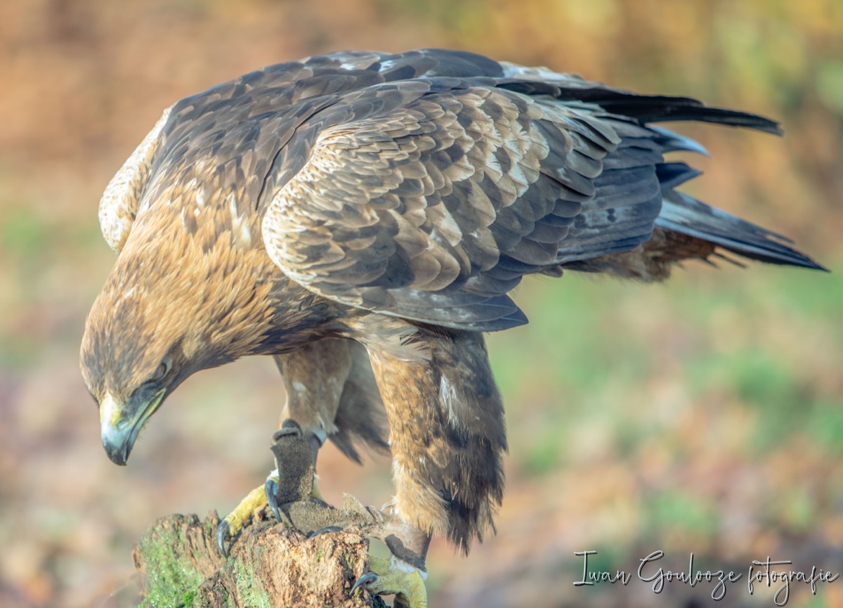 2Y6A2064 201204 12 18 57