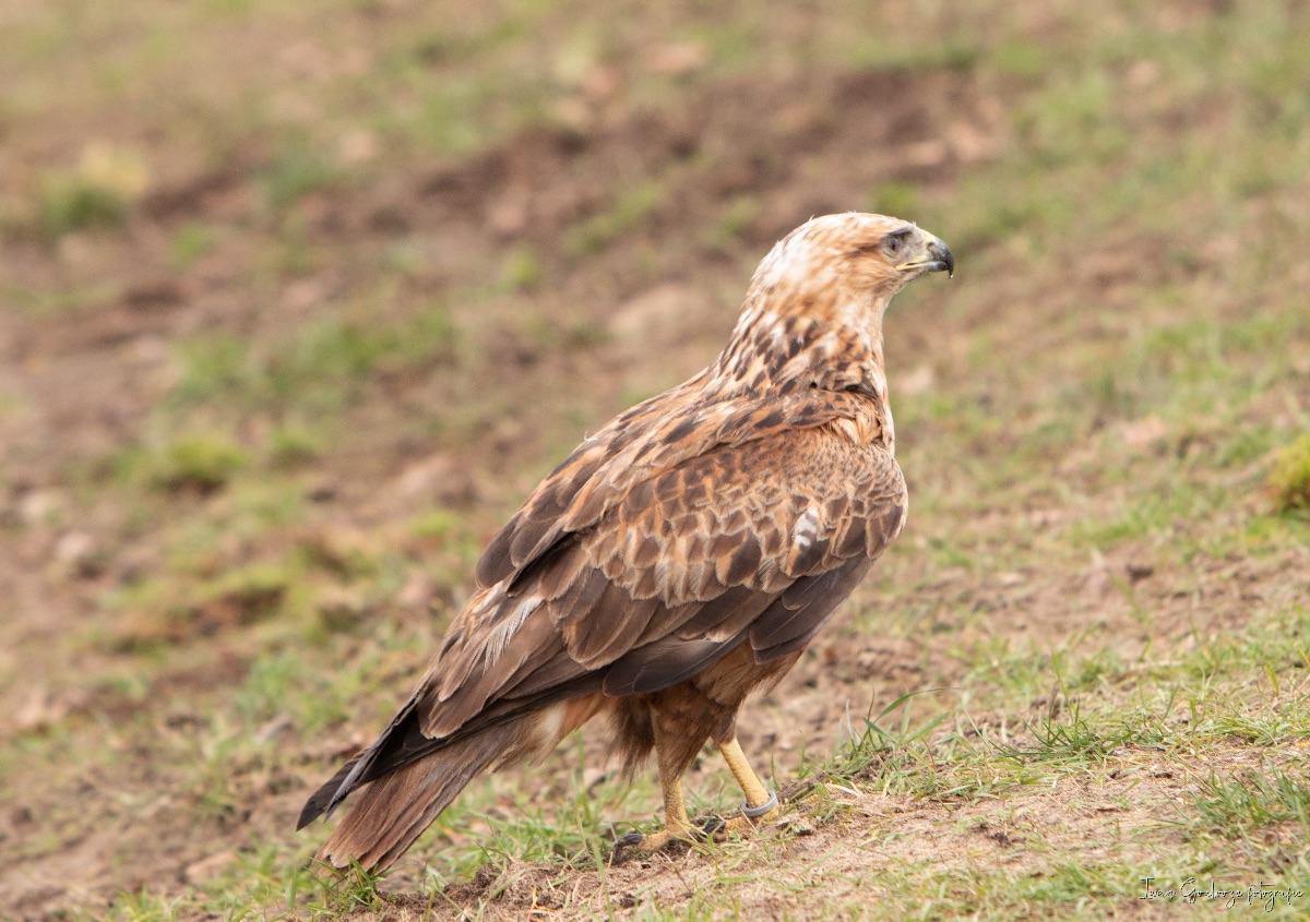 2Y6A3428 210116 09 43 40