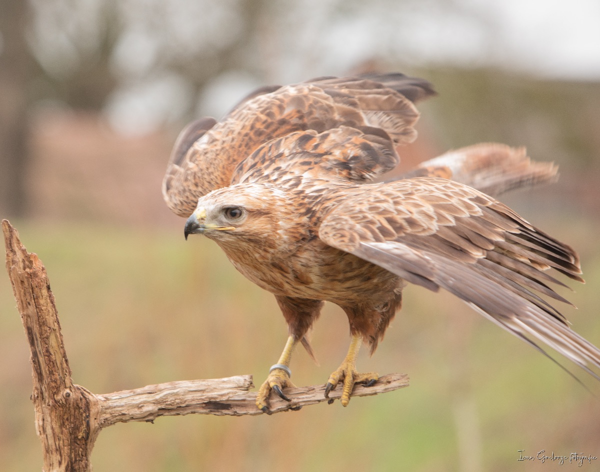 2Y6A3433 210116 09 44 04