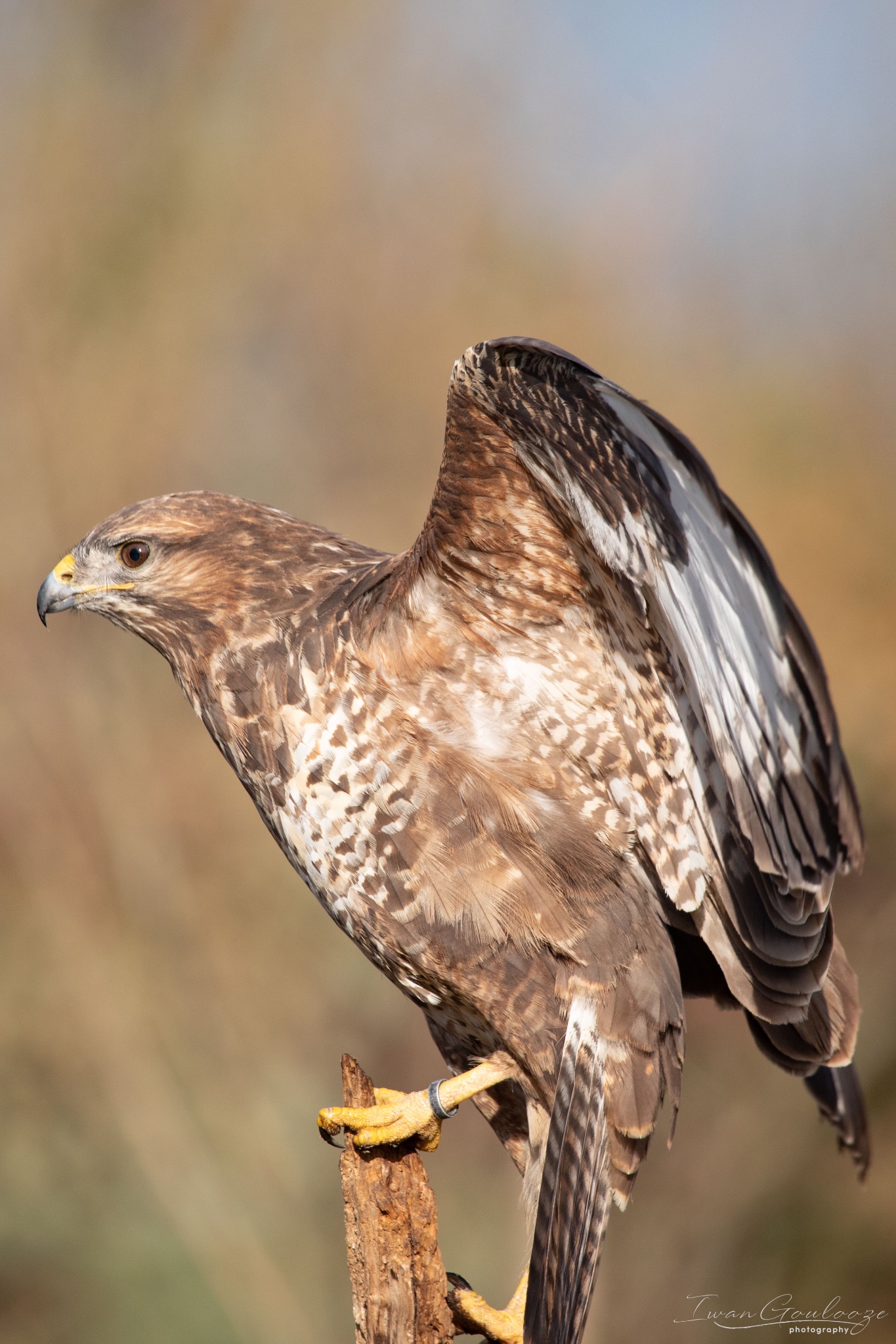 2Y6A6843 210306 09 39 29