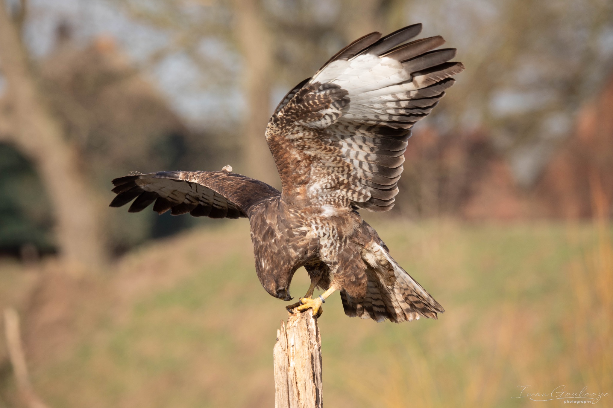 2Y6A6856 210306 09 40 13