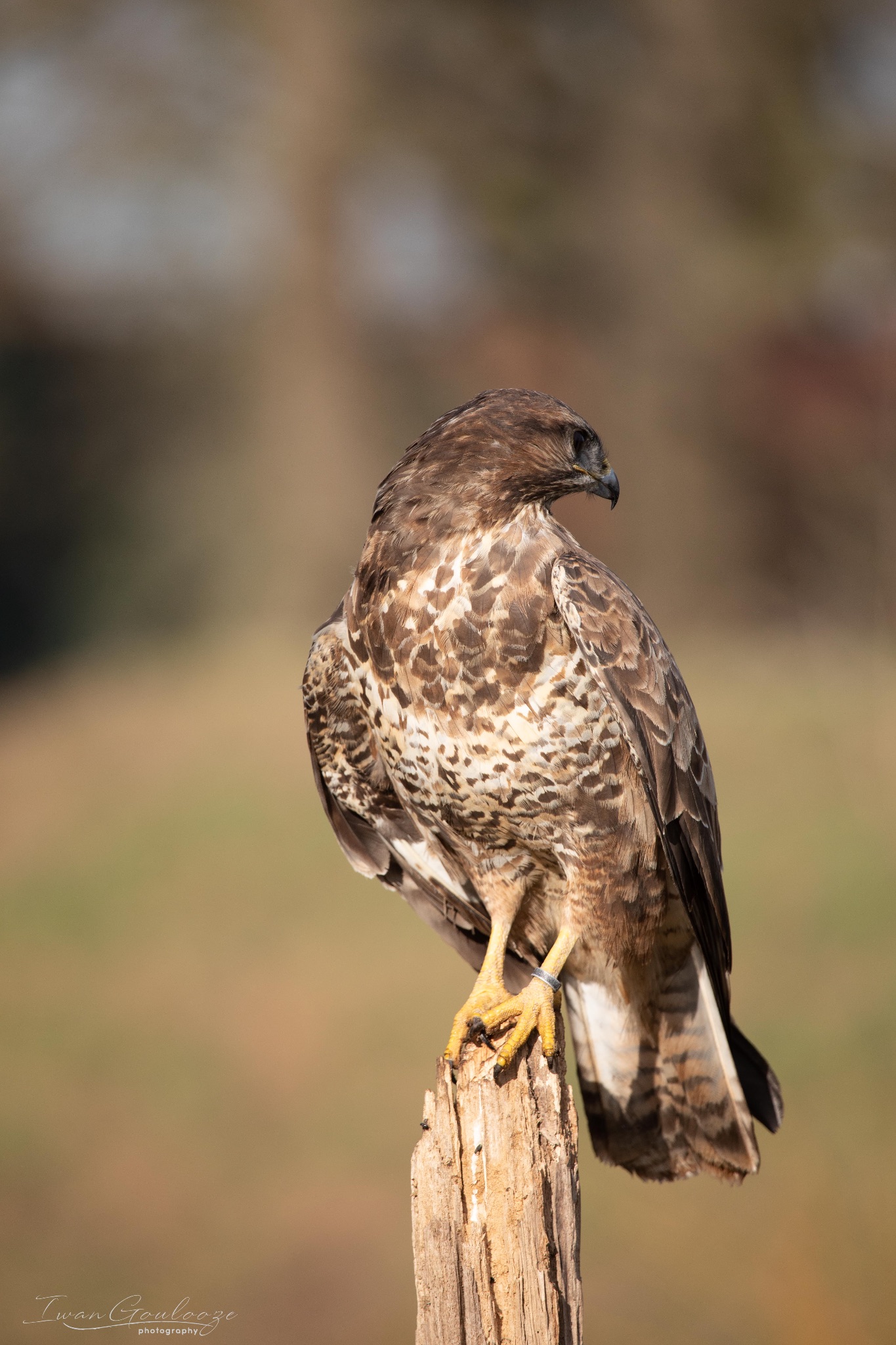 2Y6A6882 210306 09 40 45