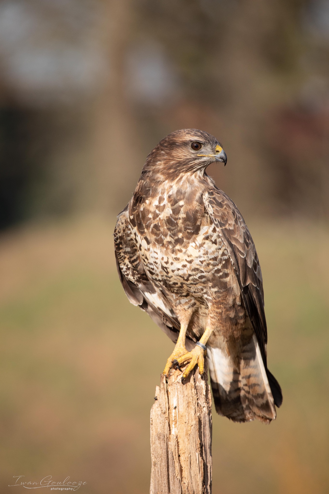 2Y6A6883 210306 09 40 48