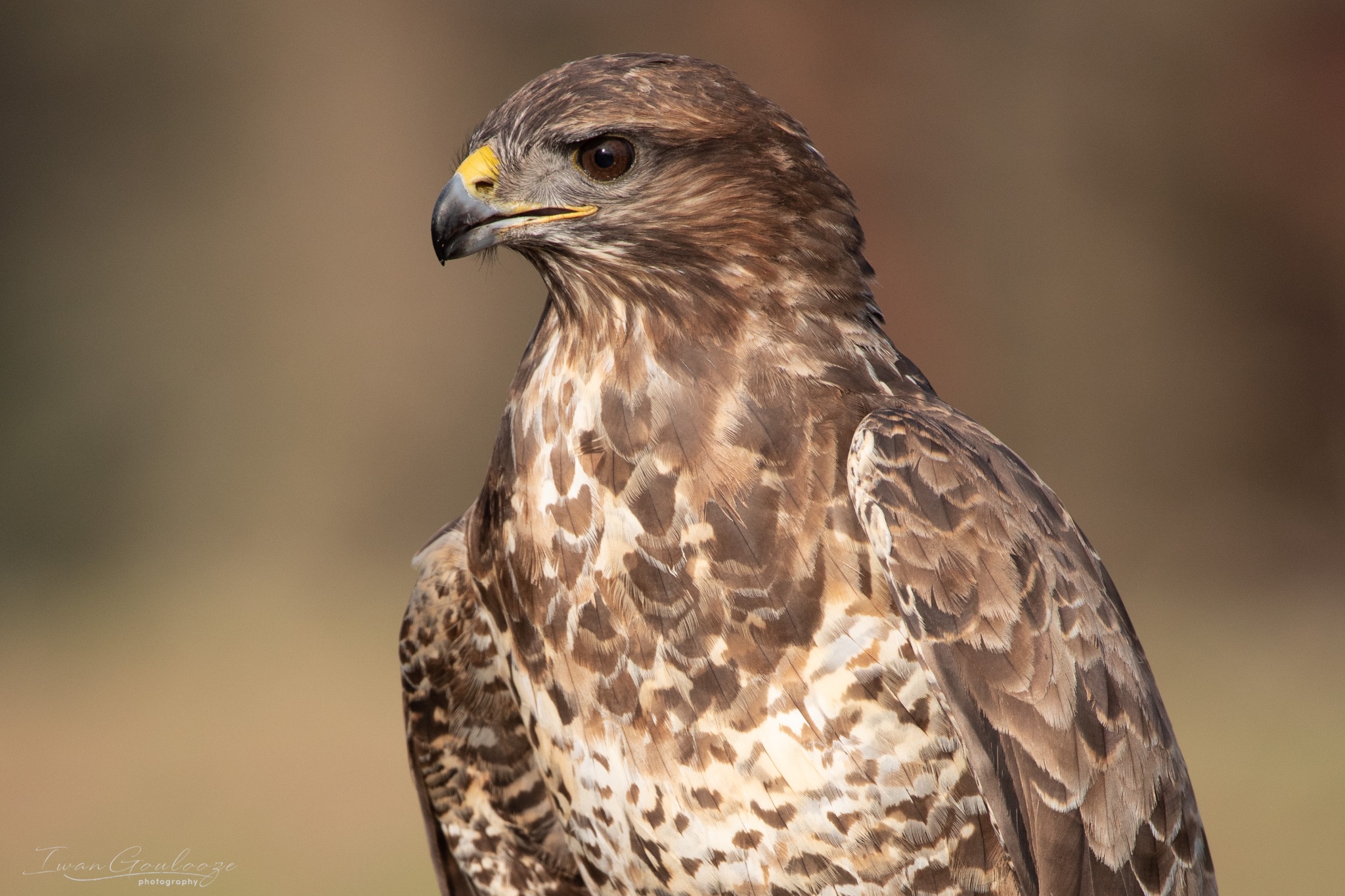 2Y6A6885 210306 09 40 48