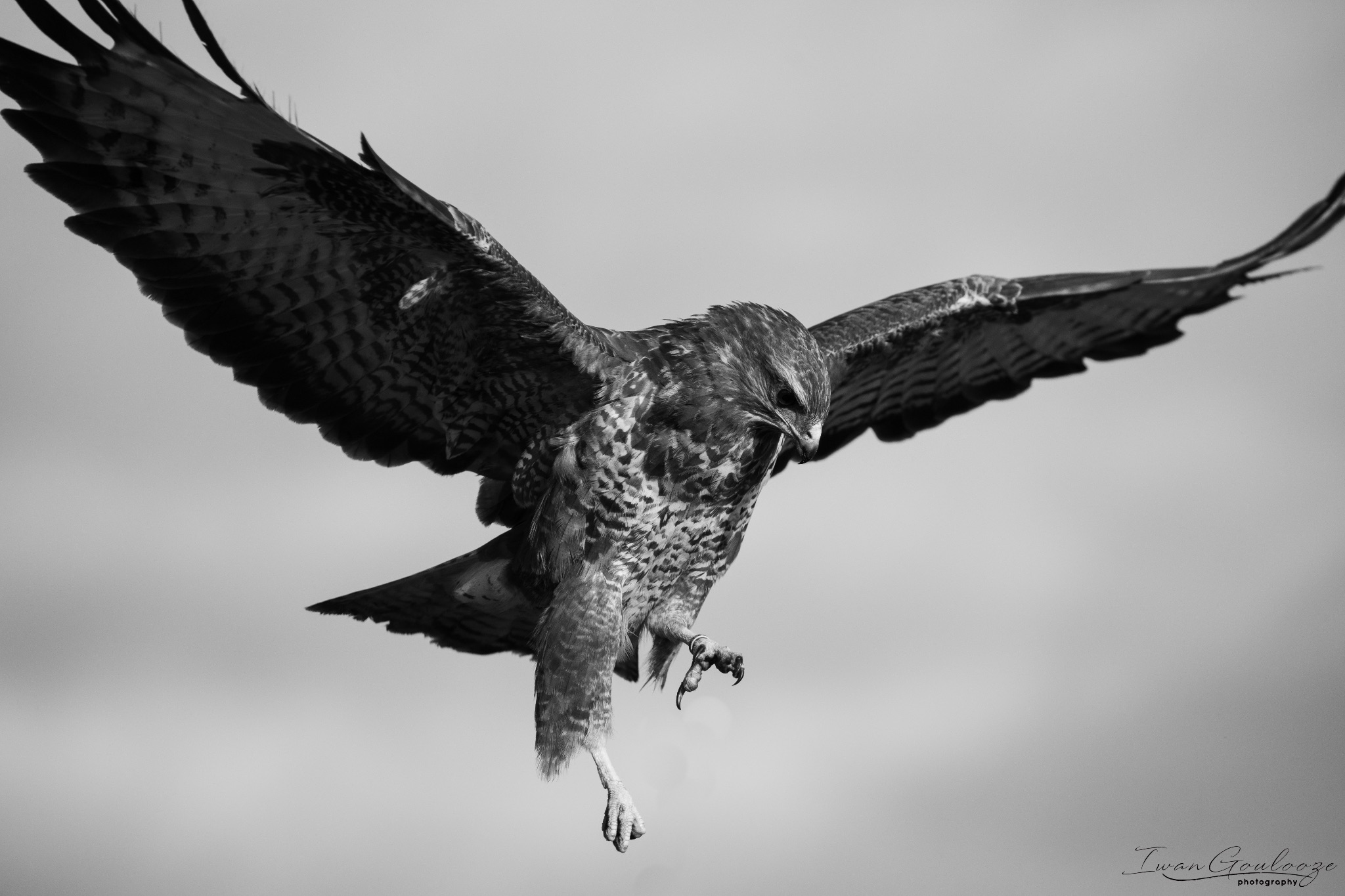 2Y6A6911 210306 09 42 58