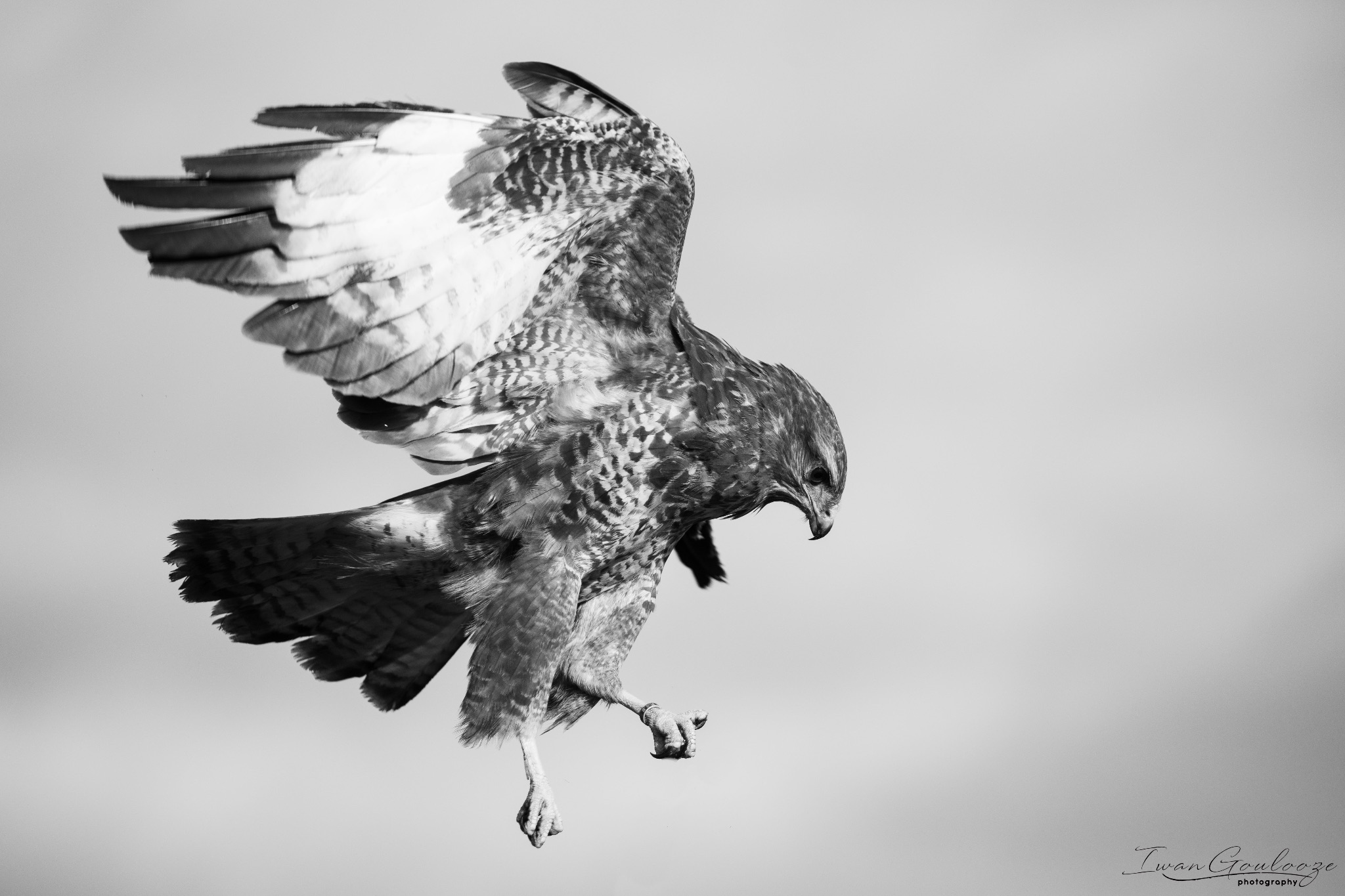 2Y6A6912 210306 09 42 58