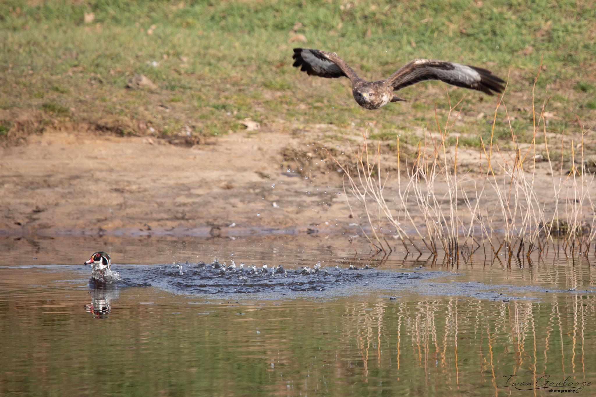 2Y6A6939 210306 09 46 16