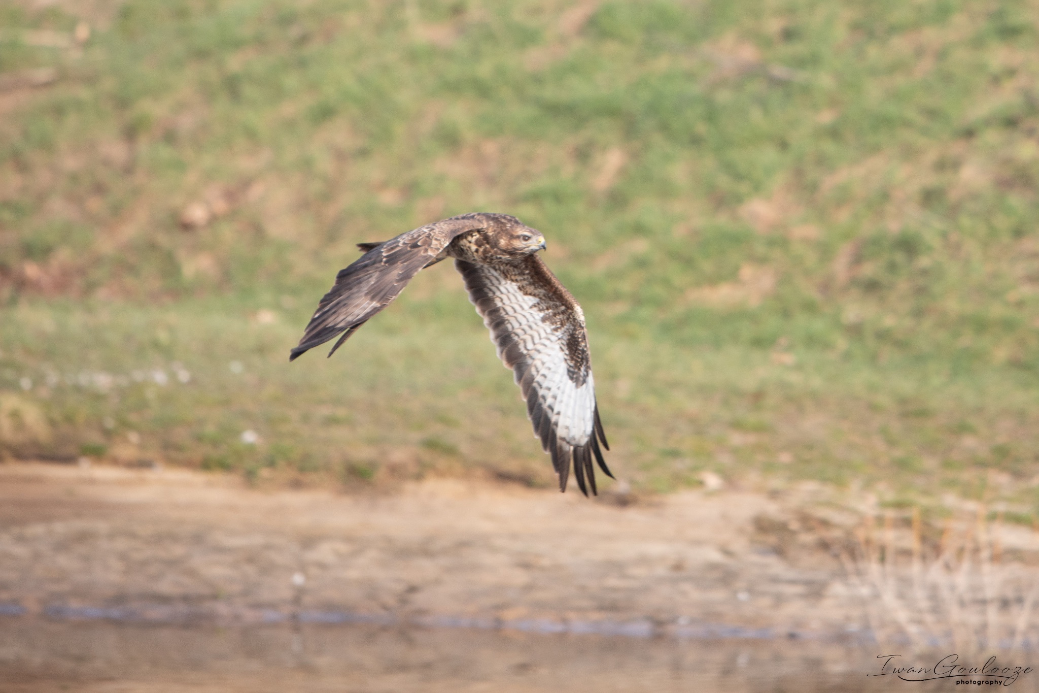 2Y6A6973 210306 09 49 30