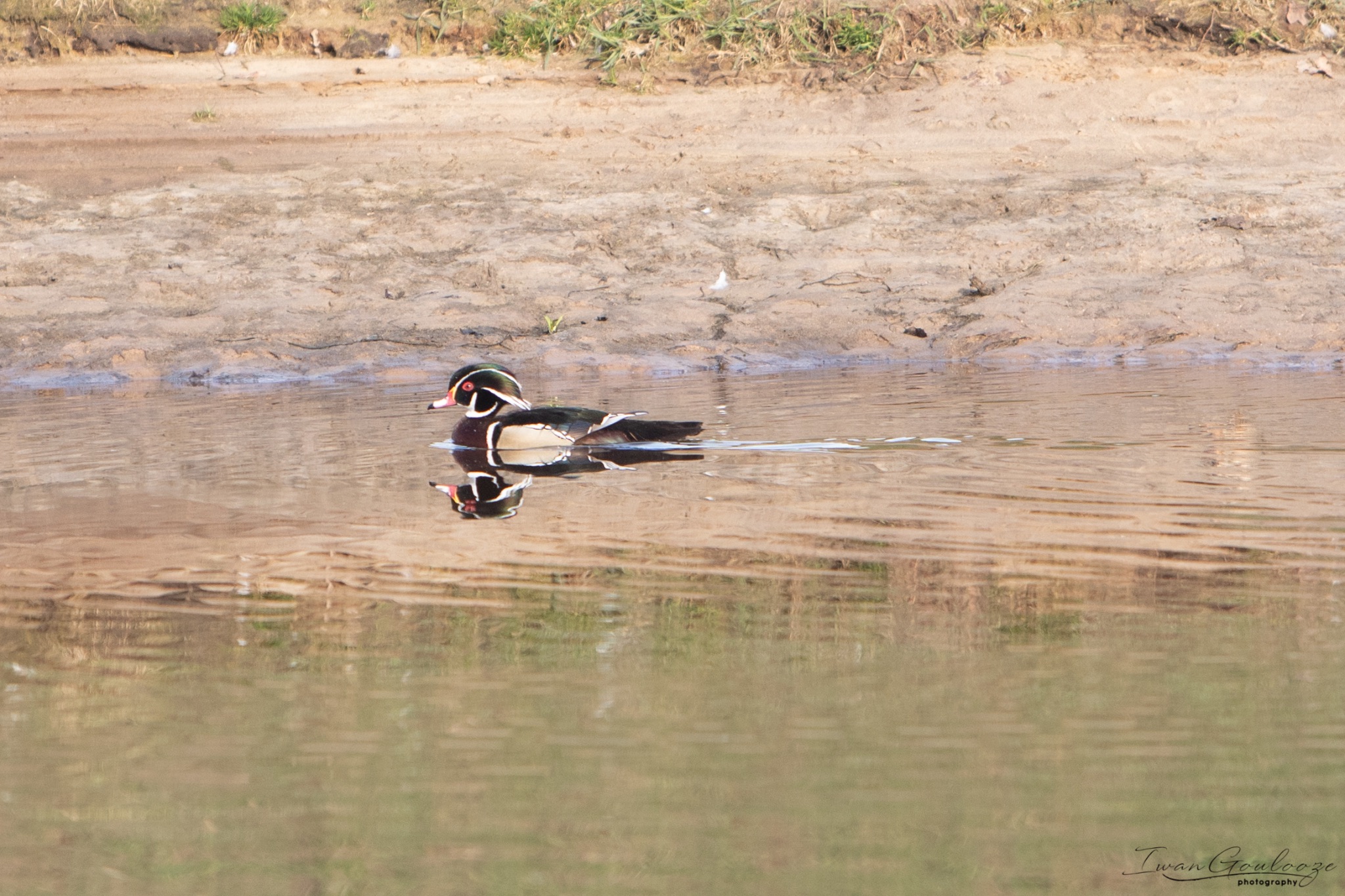 2Y6A6996 210306 09 51 20