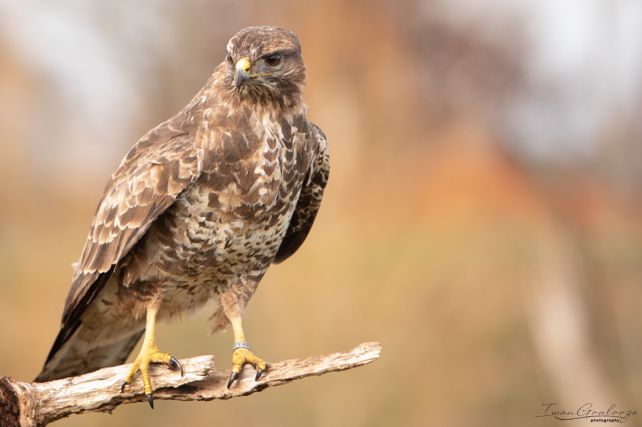 2Y6A8483 210317 10 26 55