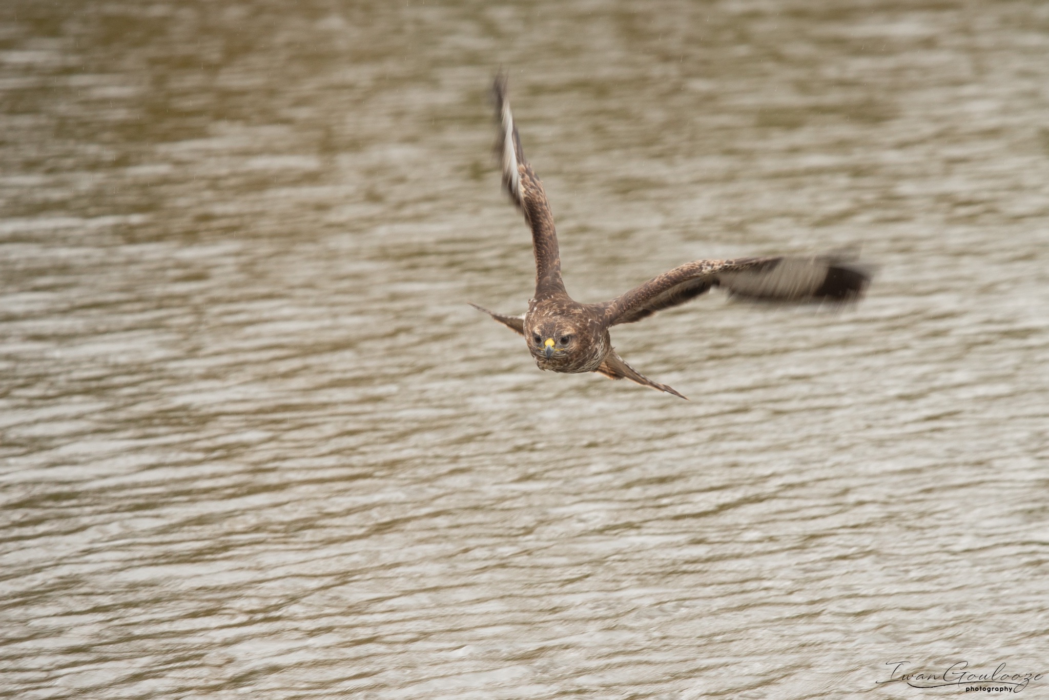  1DX2298 210410 14 38 03