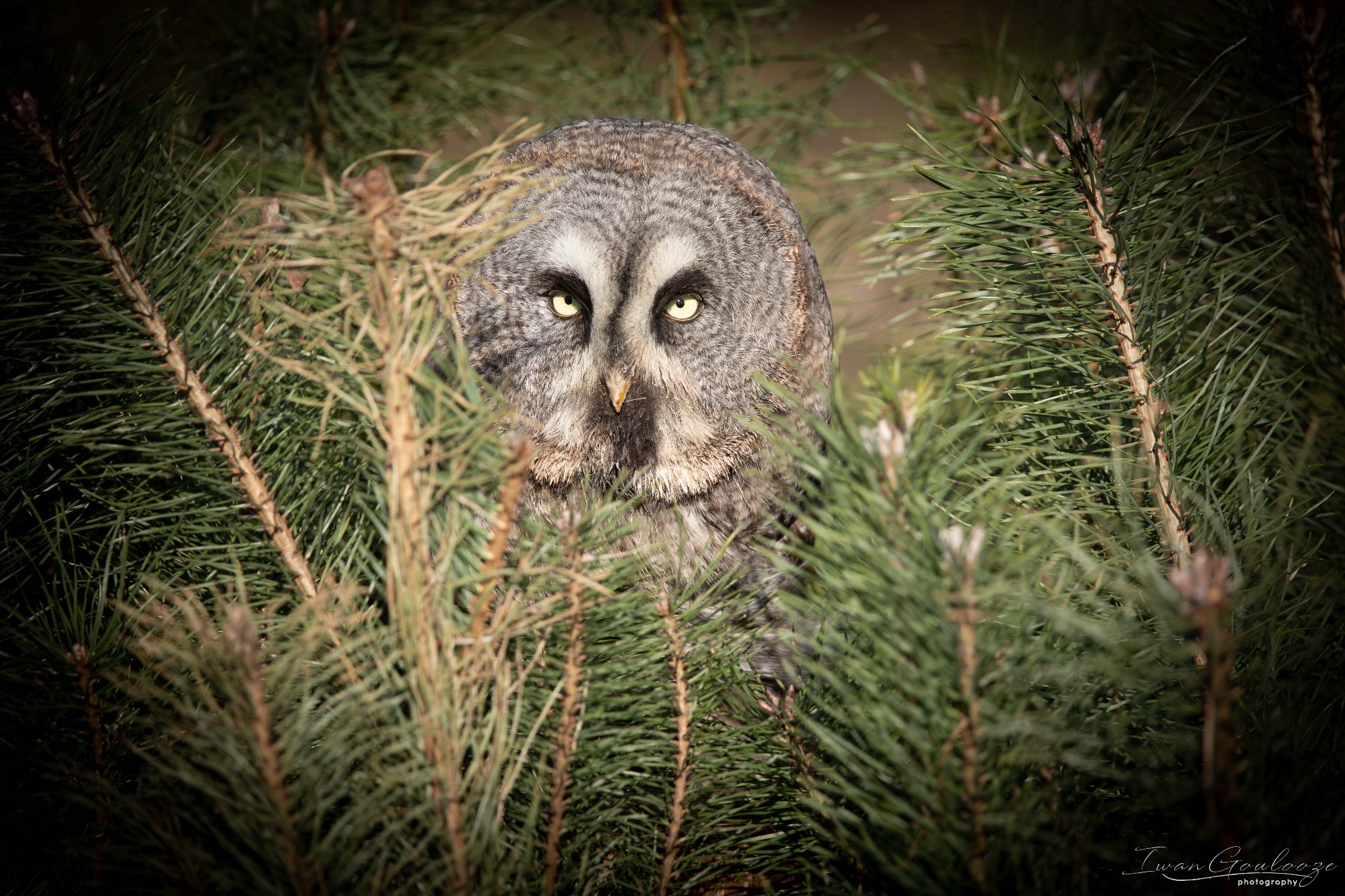 2Y6A5389 210227 13 59 18