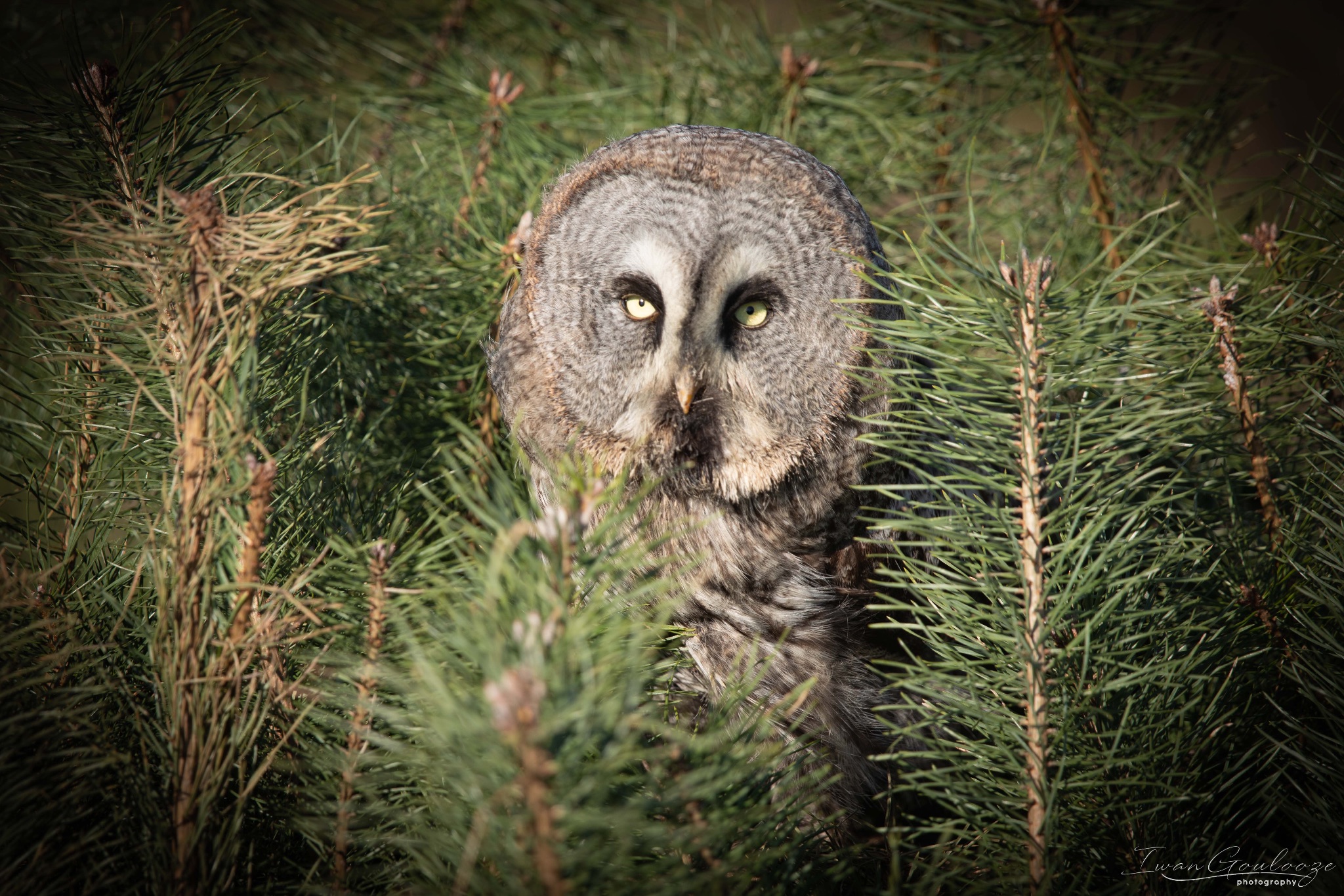 2Y6A5391 210227 14 00 17