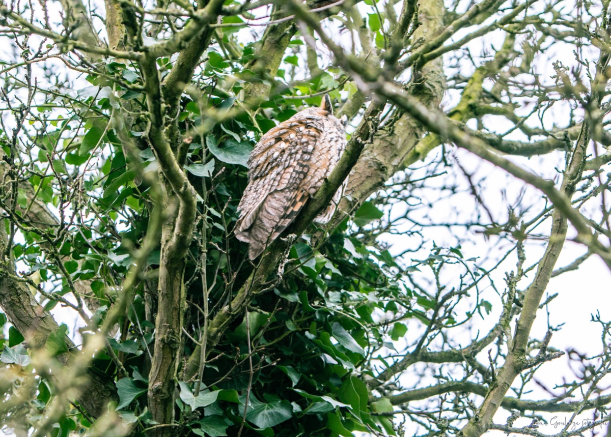 2Y6A3284 210115 14 14 00