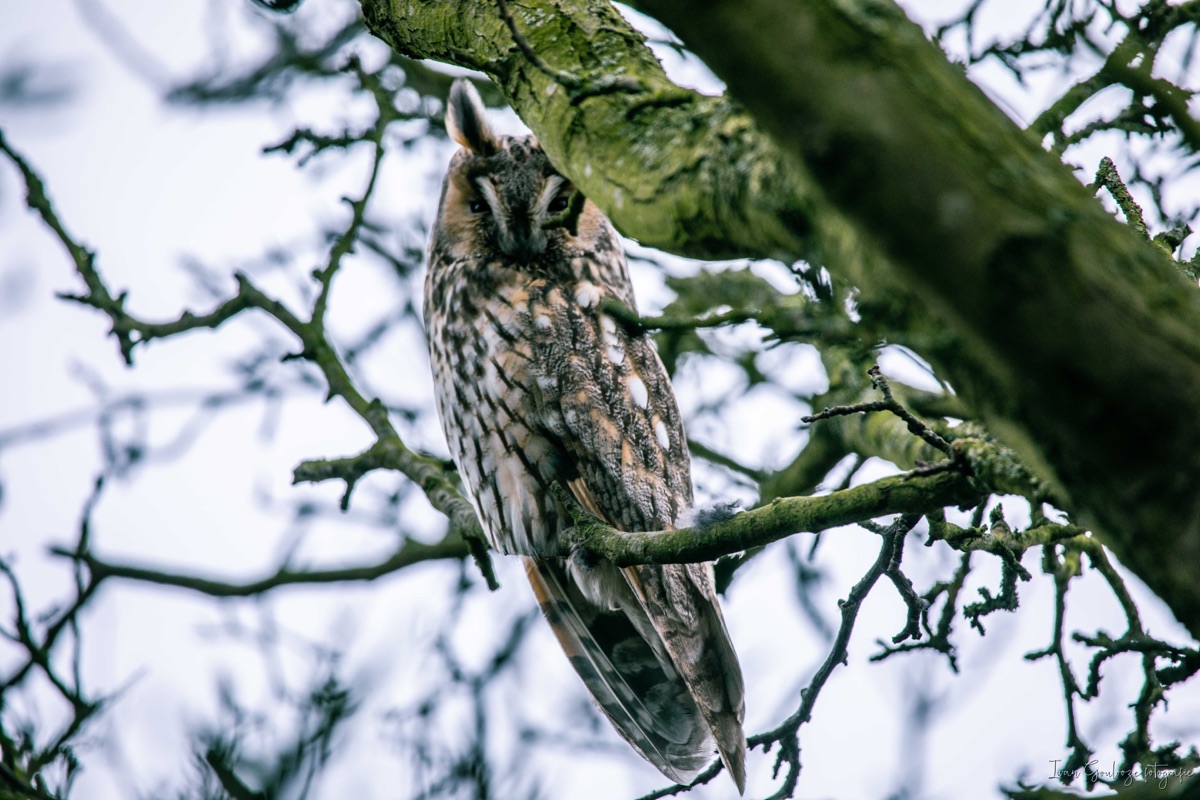 2Y6A3288 210115 14 16 08