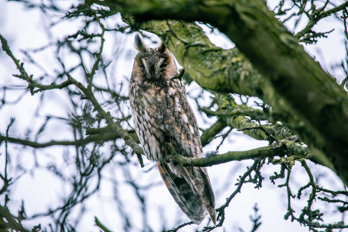 2Y6A3294 210115 14 17 45