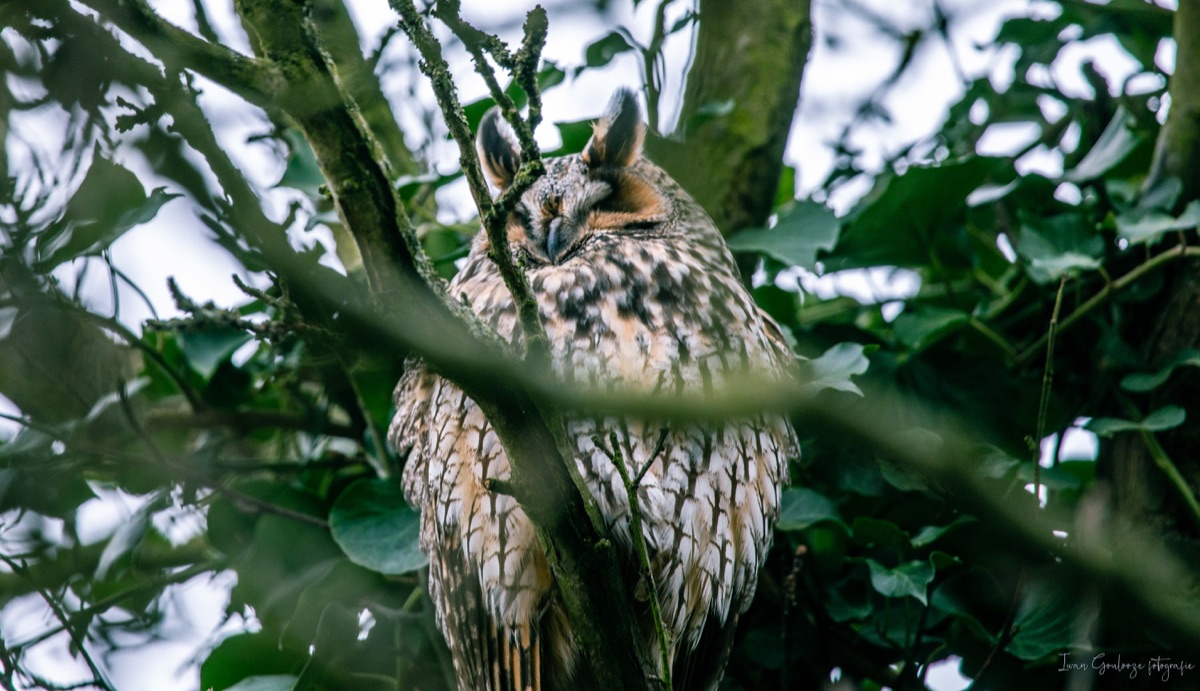 2Y6A3322 210115 14 29 16