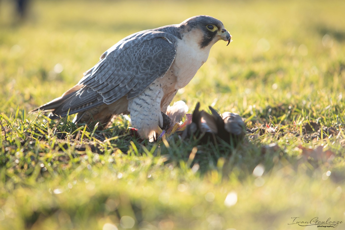 2Y6A6290 210227 16 15 37