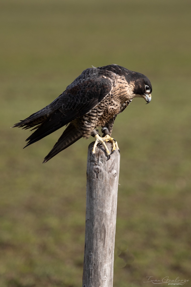 2Y6A7722 210306 12 10 16