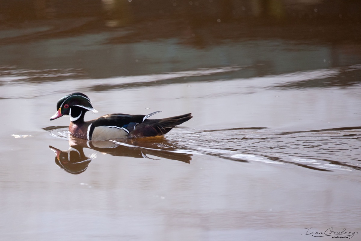 2Y6A7344 210306 11 05 59