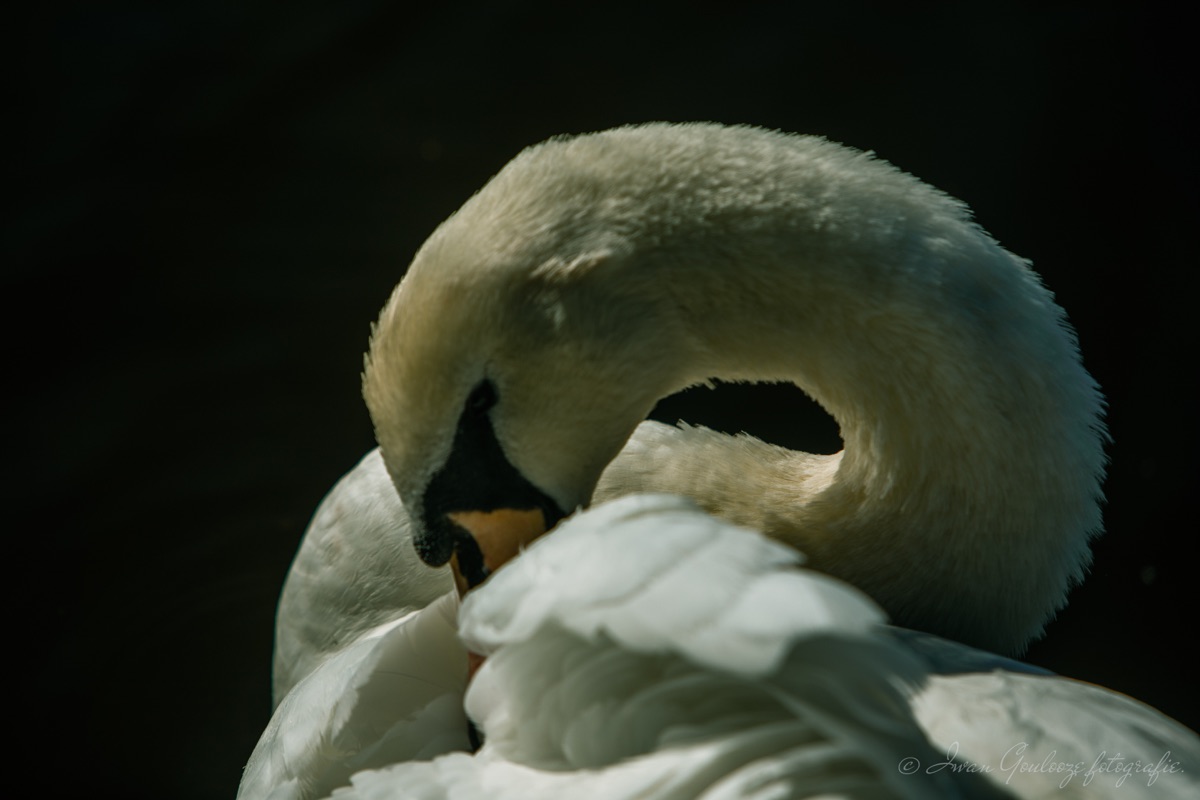 2Y6A0339 201109 13 01 40