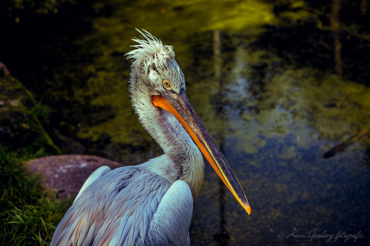 2Y6A0034 201013 13 03 13